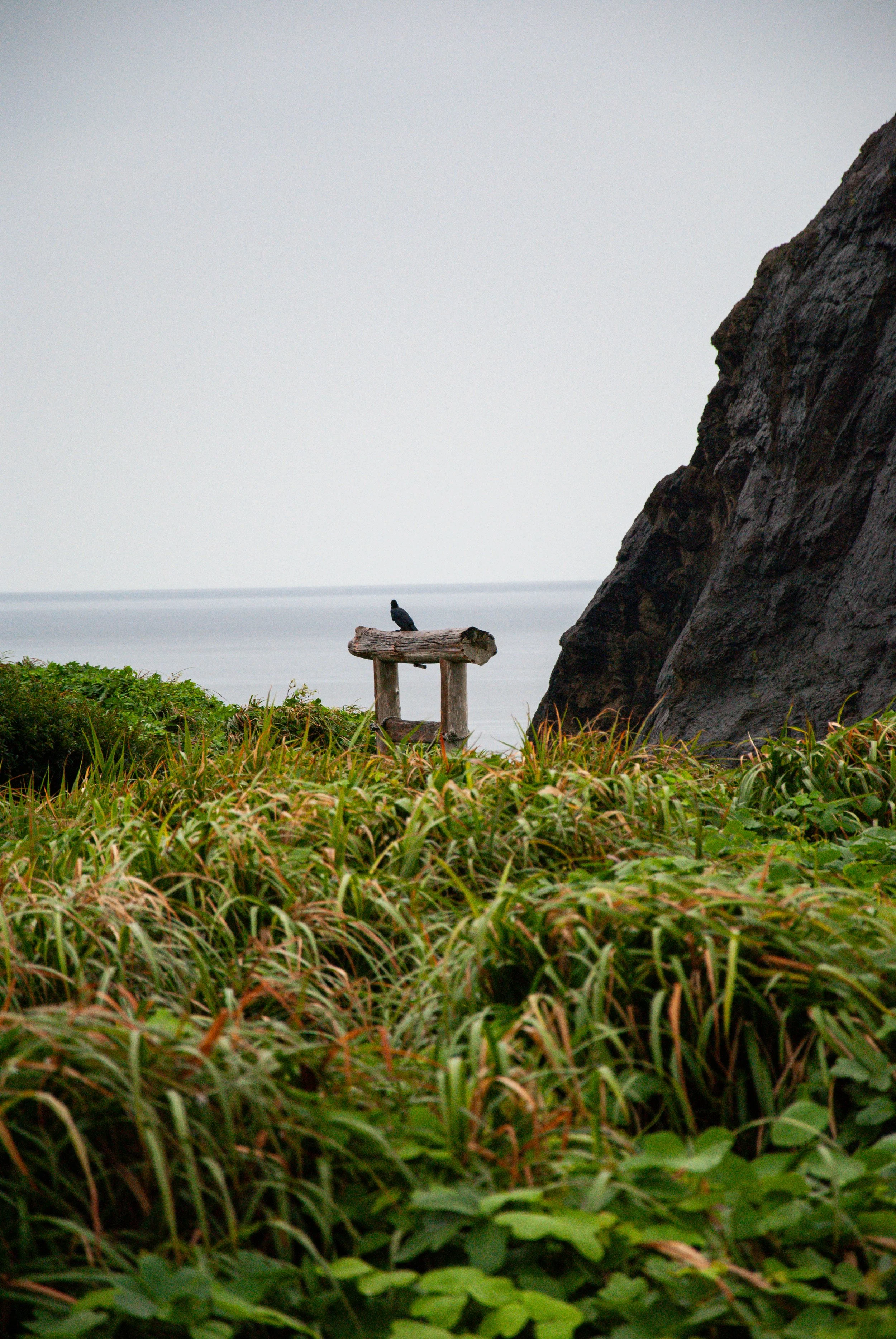 二ツ亀と長国寺 (11).jpg