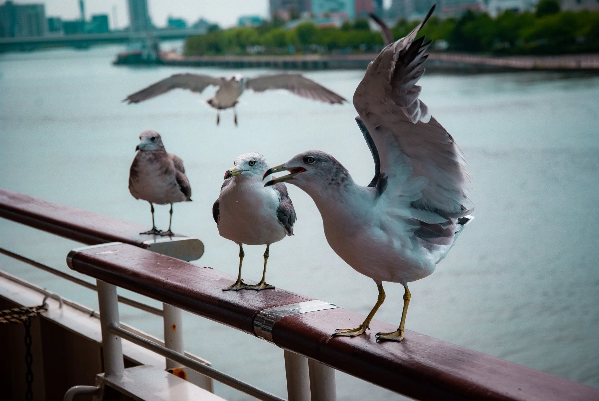 最初の習慣 (16).jpg