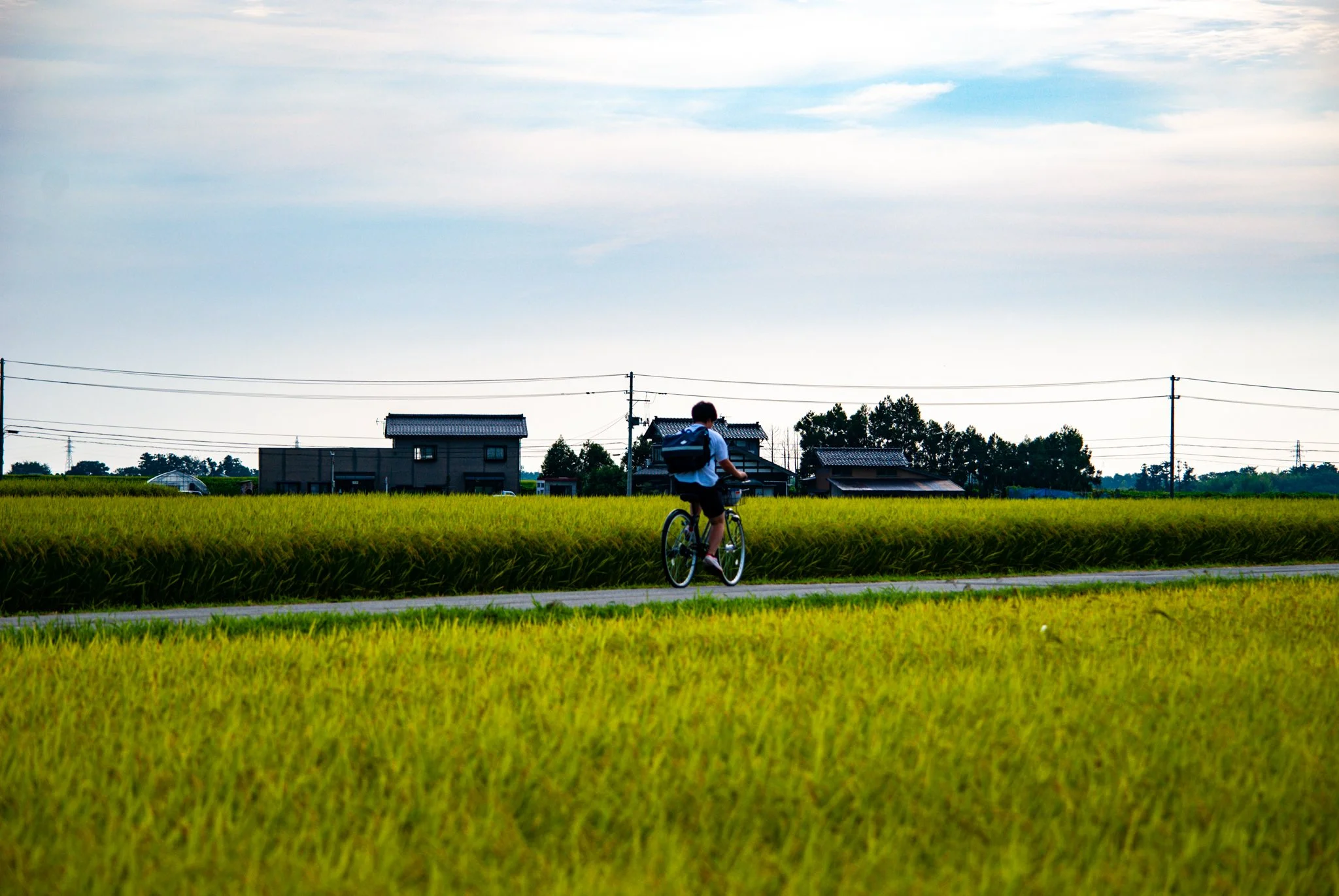 最初の習慣 (15).jpg