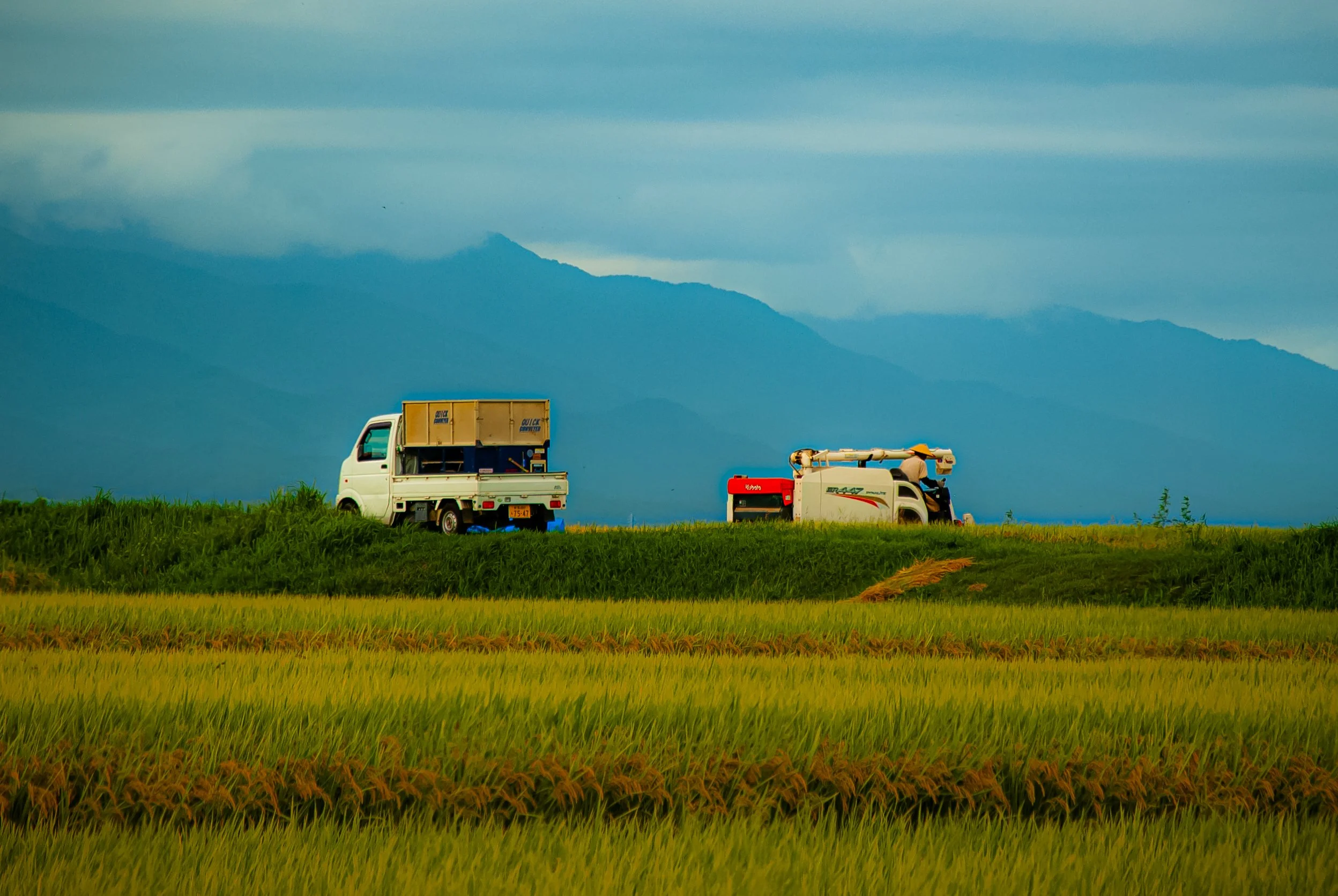 二ツ亀と長国寺 (28).jpg