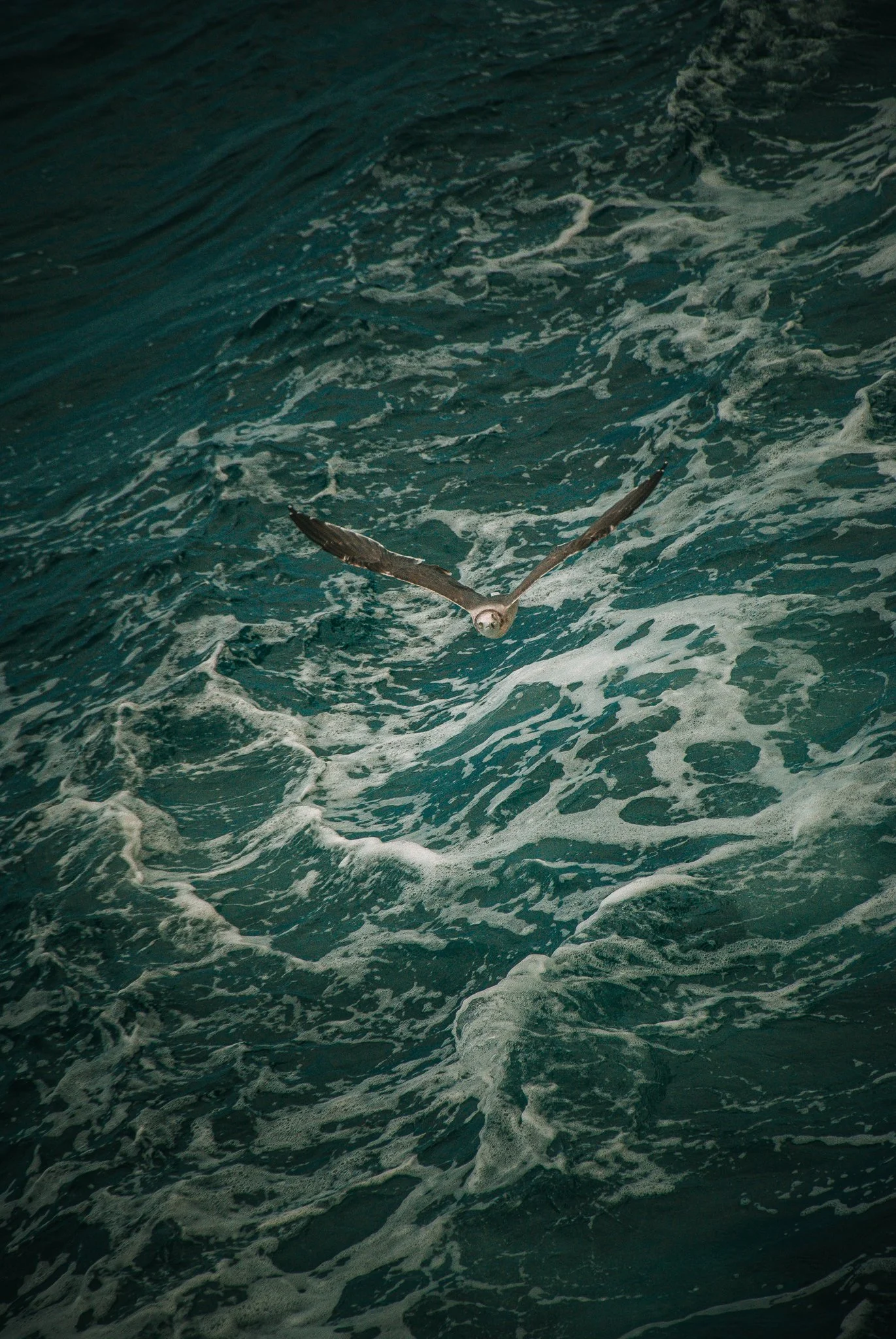 最初の習慣 (23).jpg