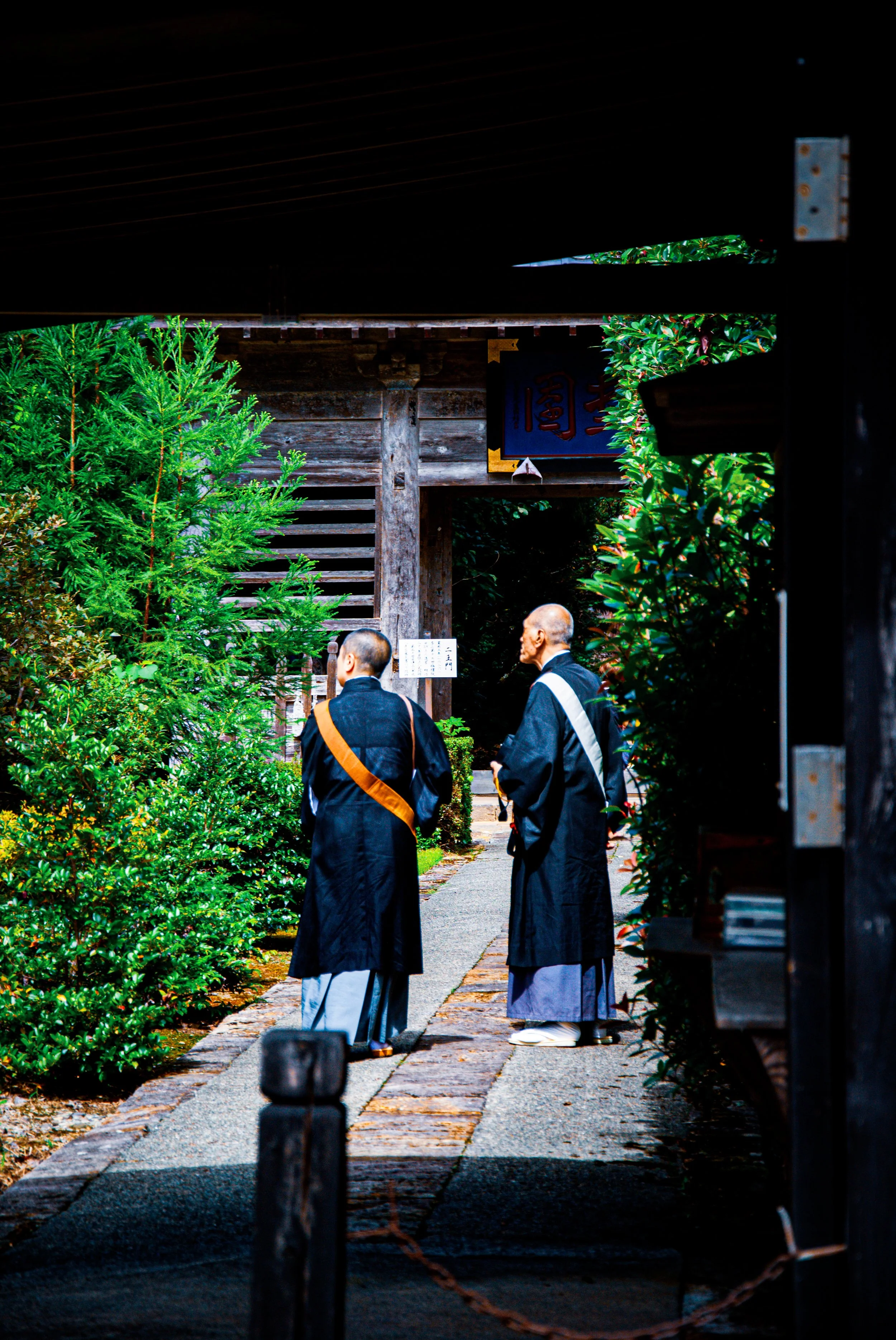 こんぽんじと祭り (2).jpg