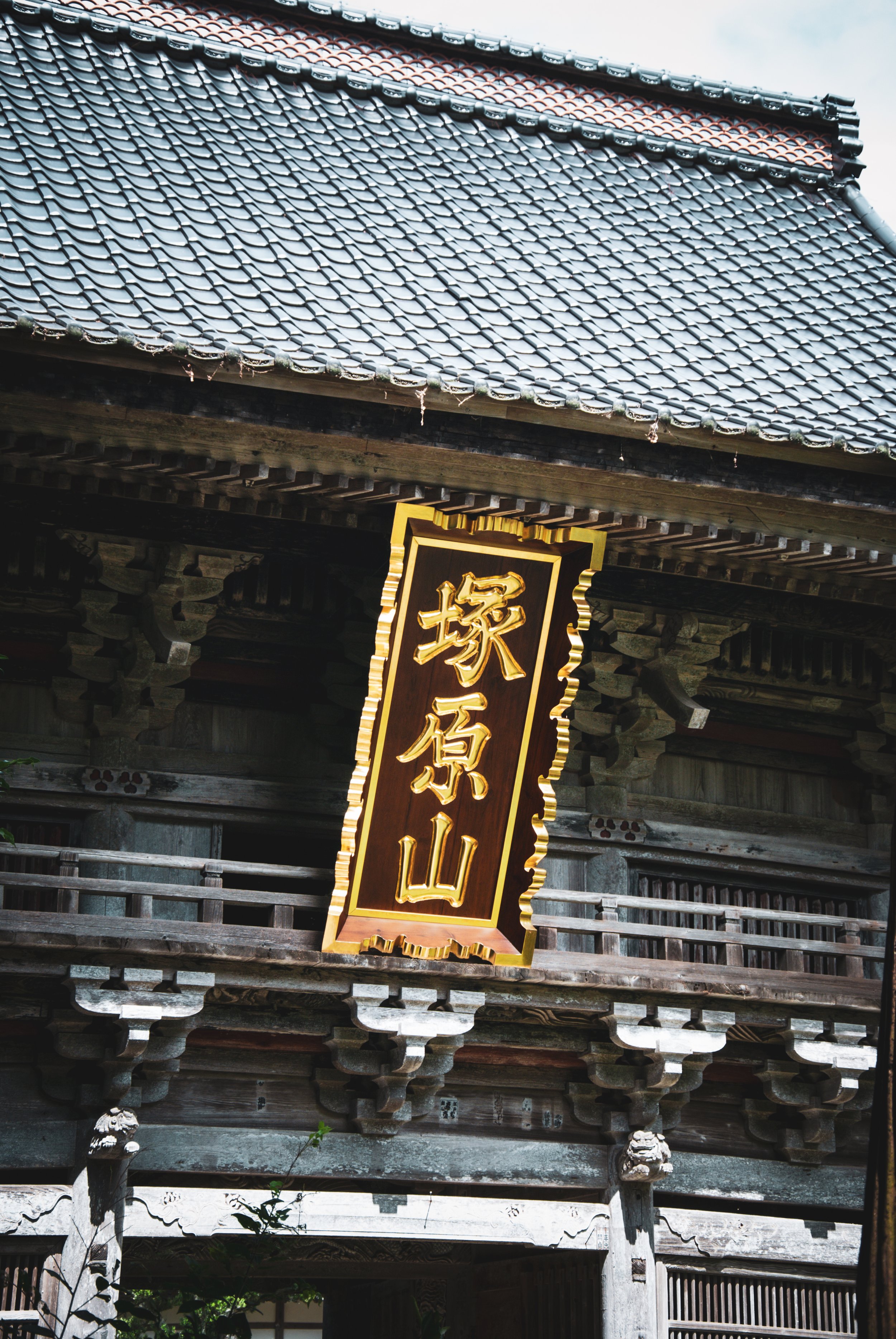 こんぽんじと祭り (6).jpg