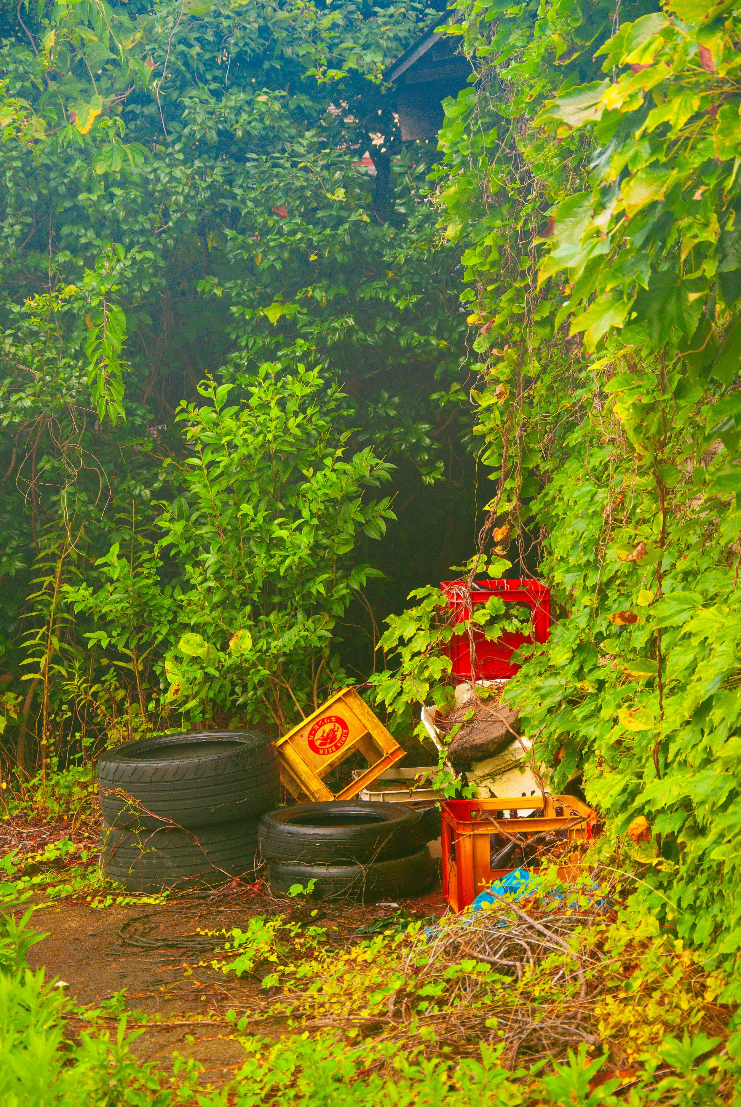 両津と色んな場所 (3).jpg