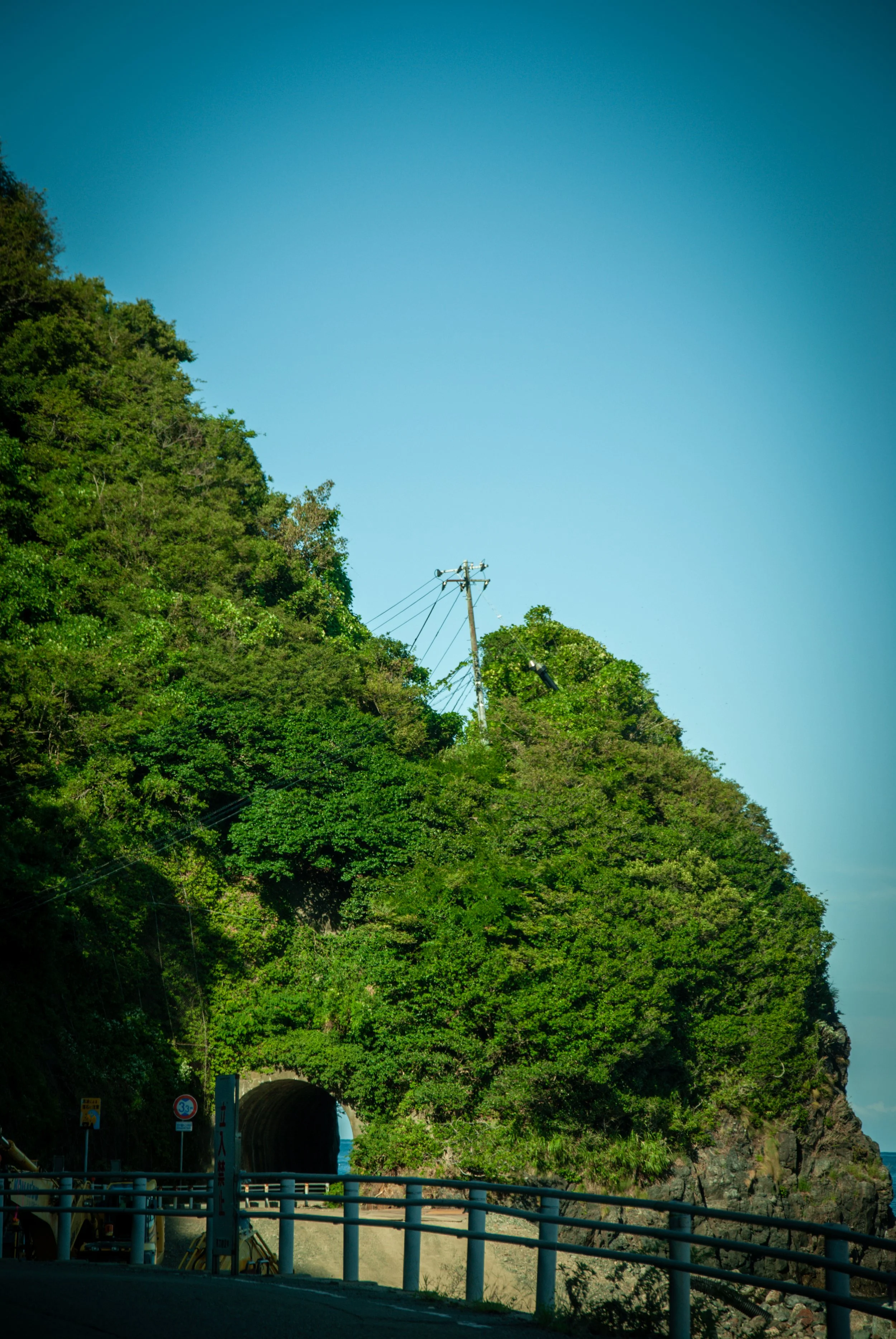 太古の日 (9).jpg