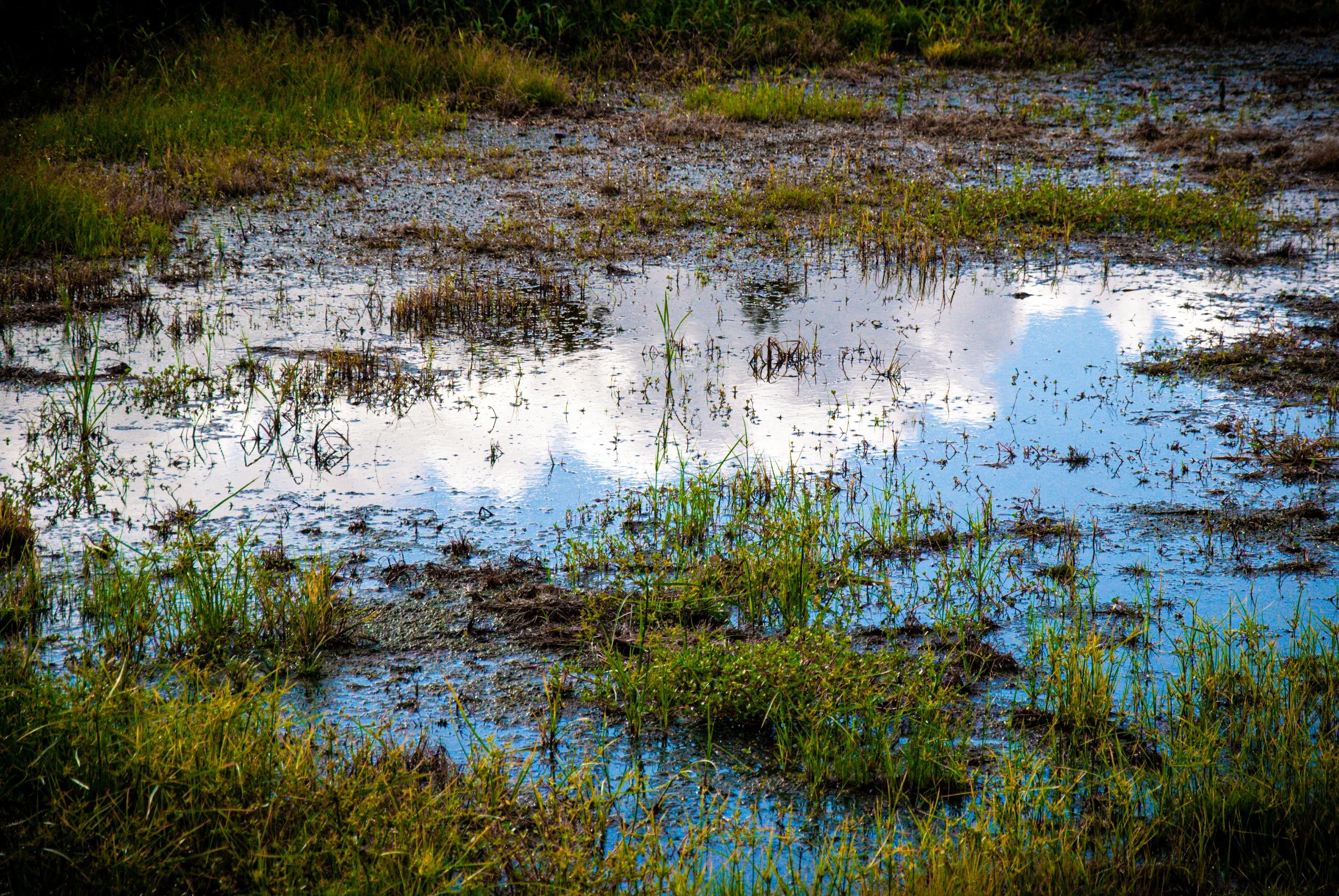 両津と色んな場所 (12).jpg
