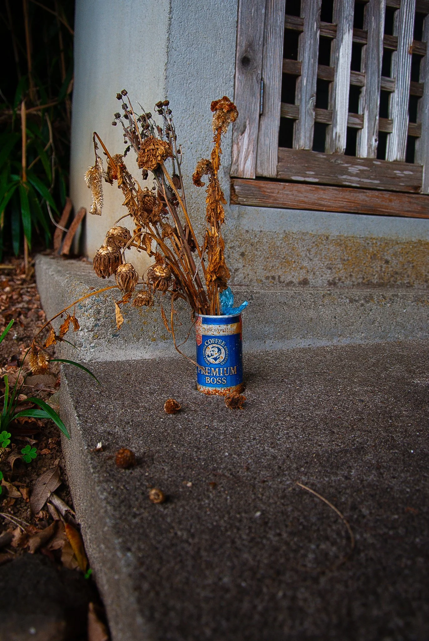 最初の習慣 (22).jpg