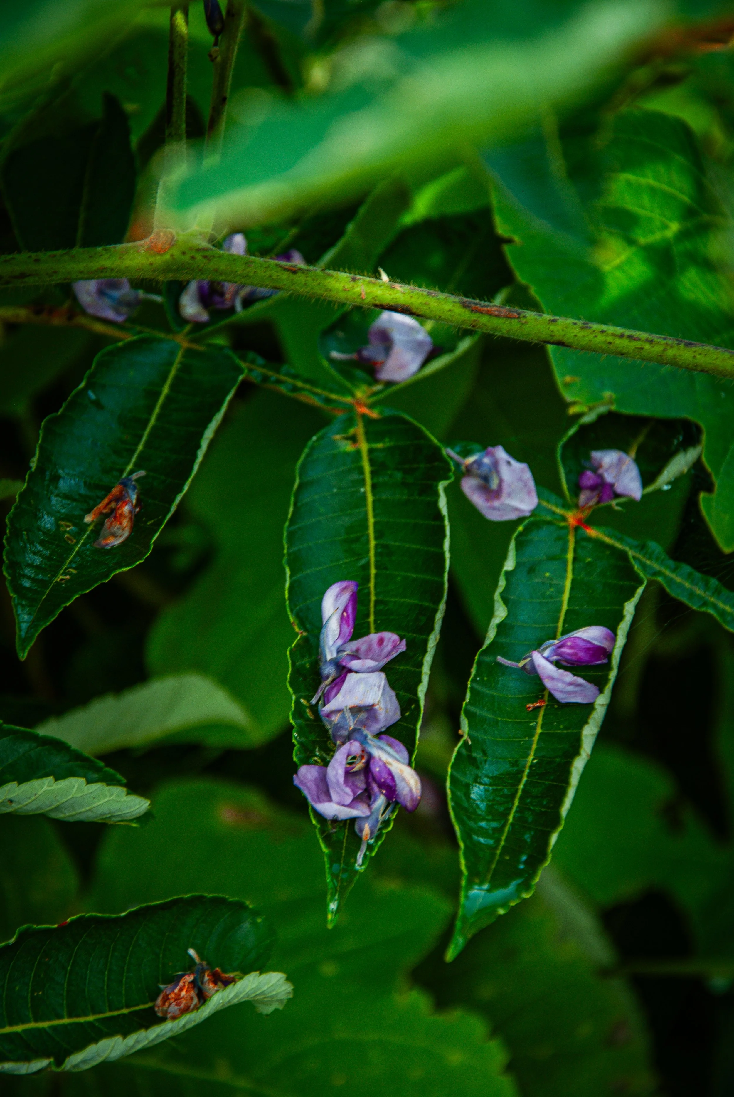 両津と色んな場所 (9).jpg