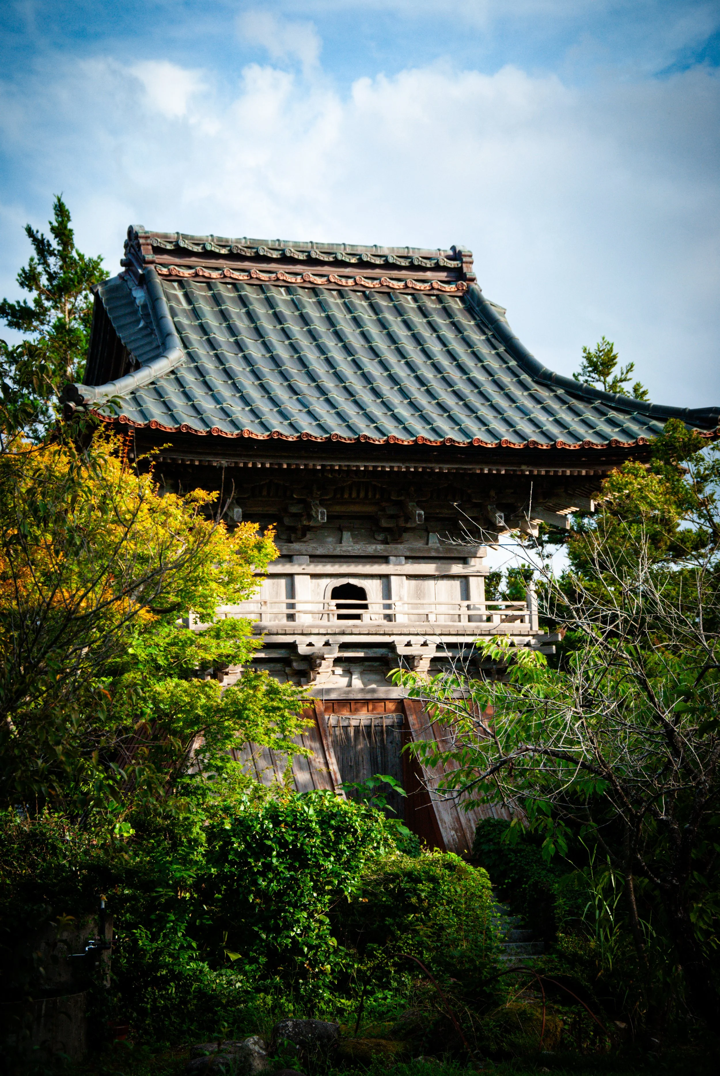 散歩 (18).jpg