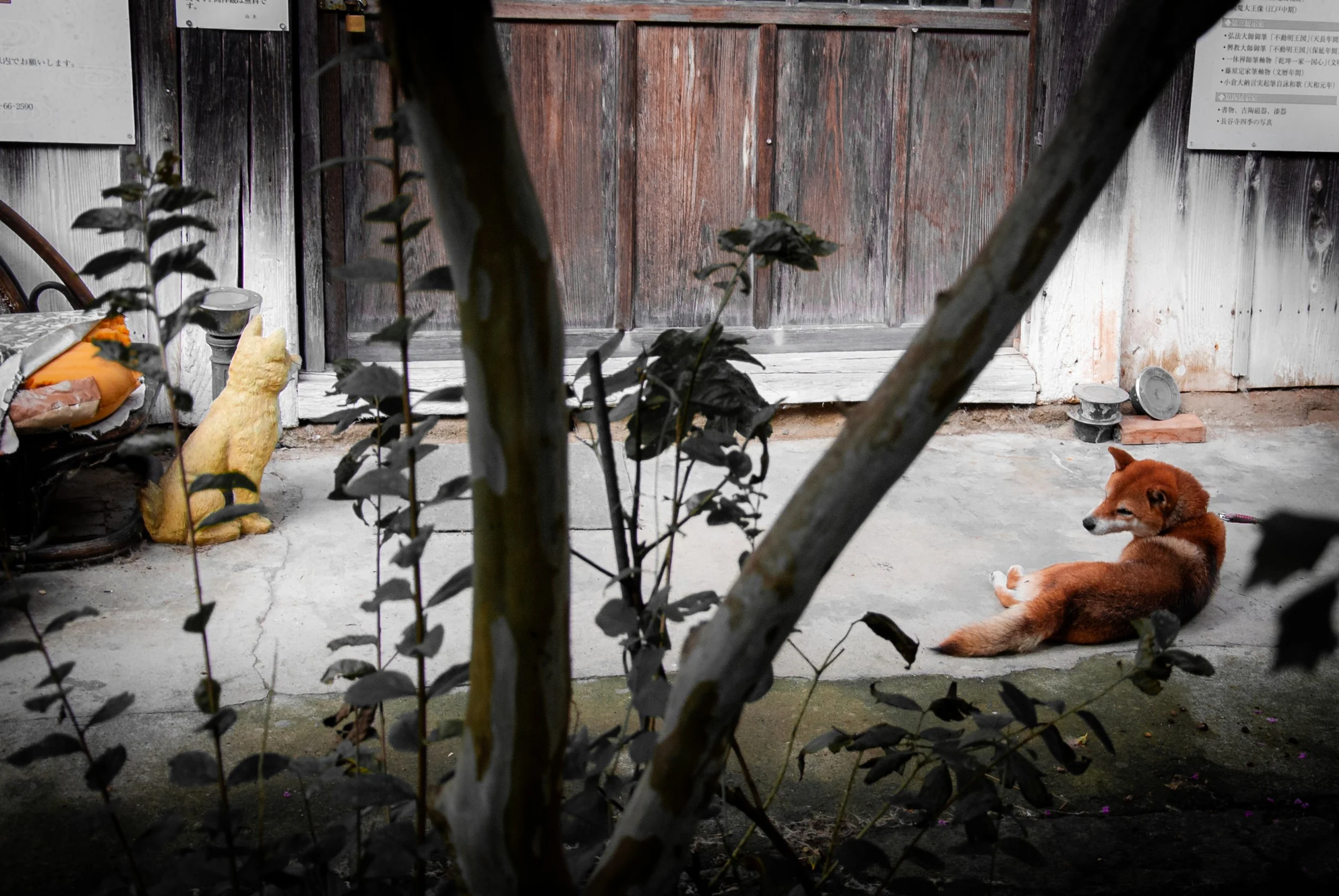 二ツ亀と長国寺 (23).jpg