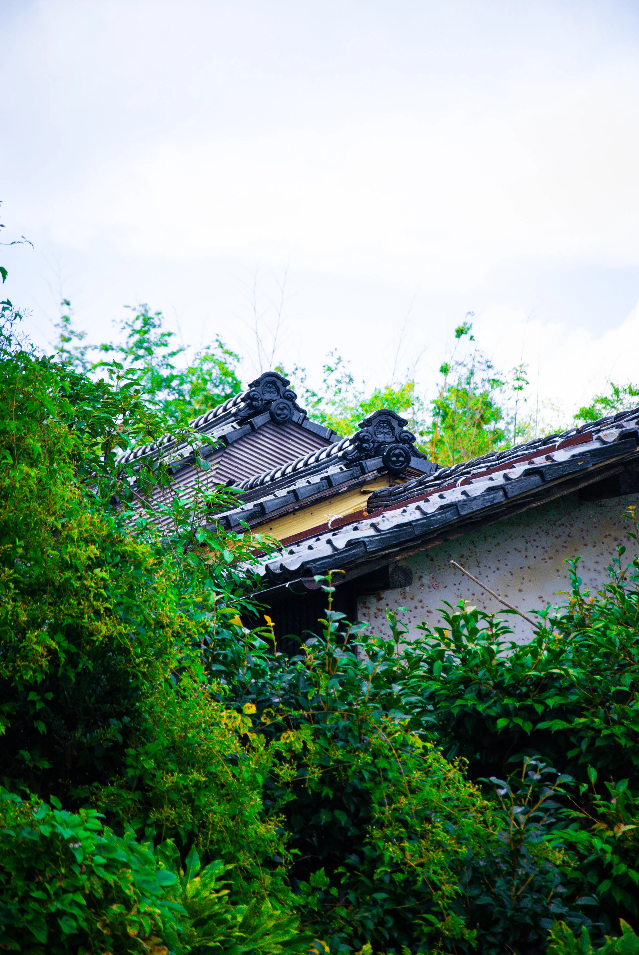 両津と色んな場所 (5).jpg