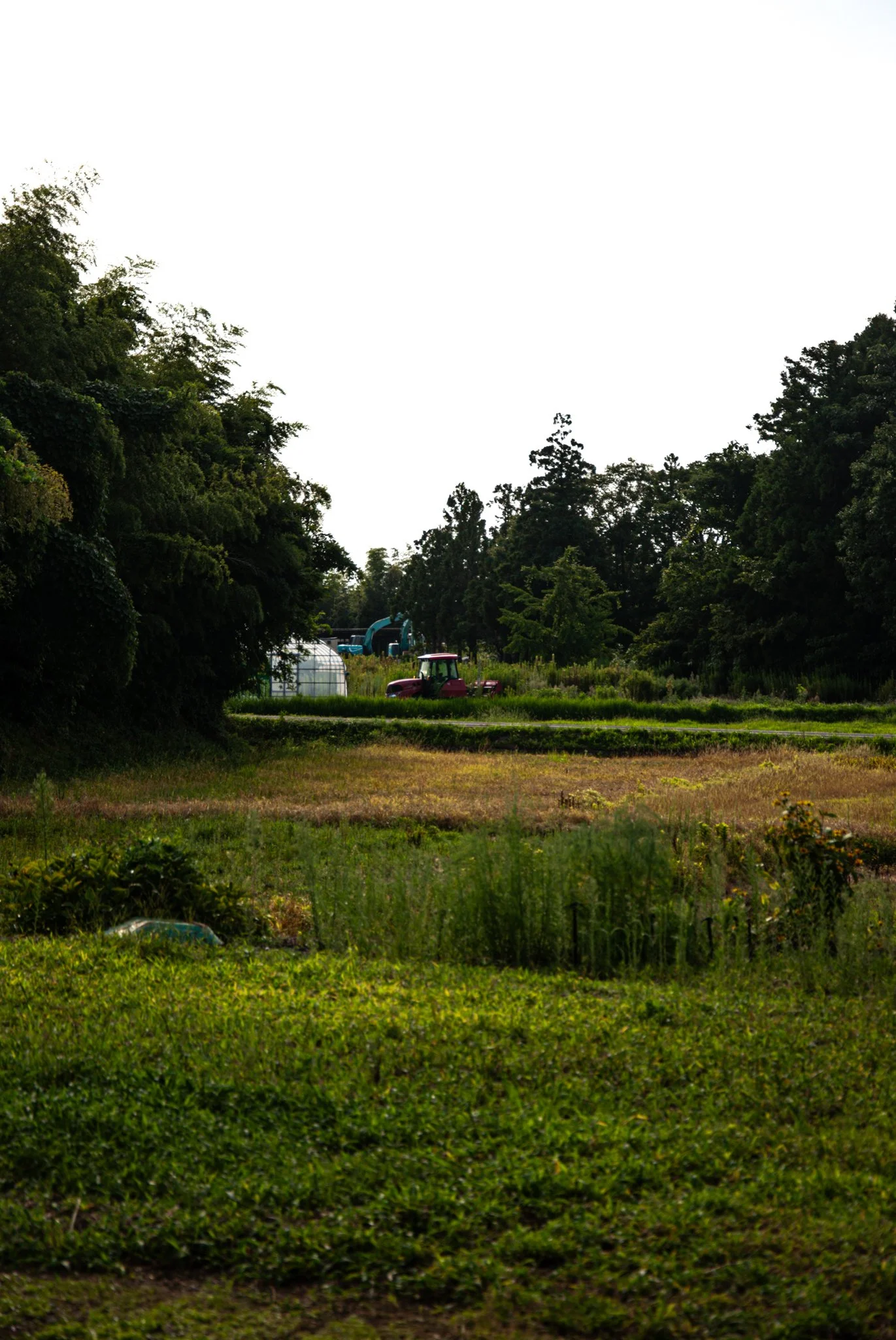 最初の習慣 (7).jpg