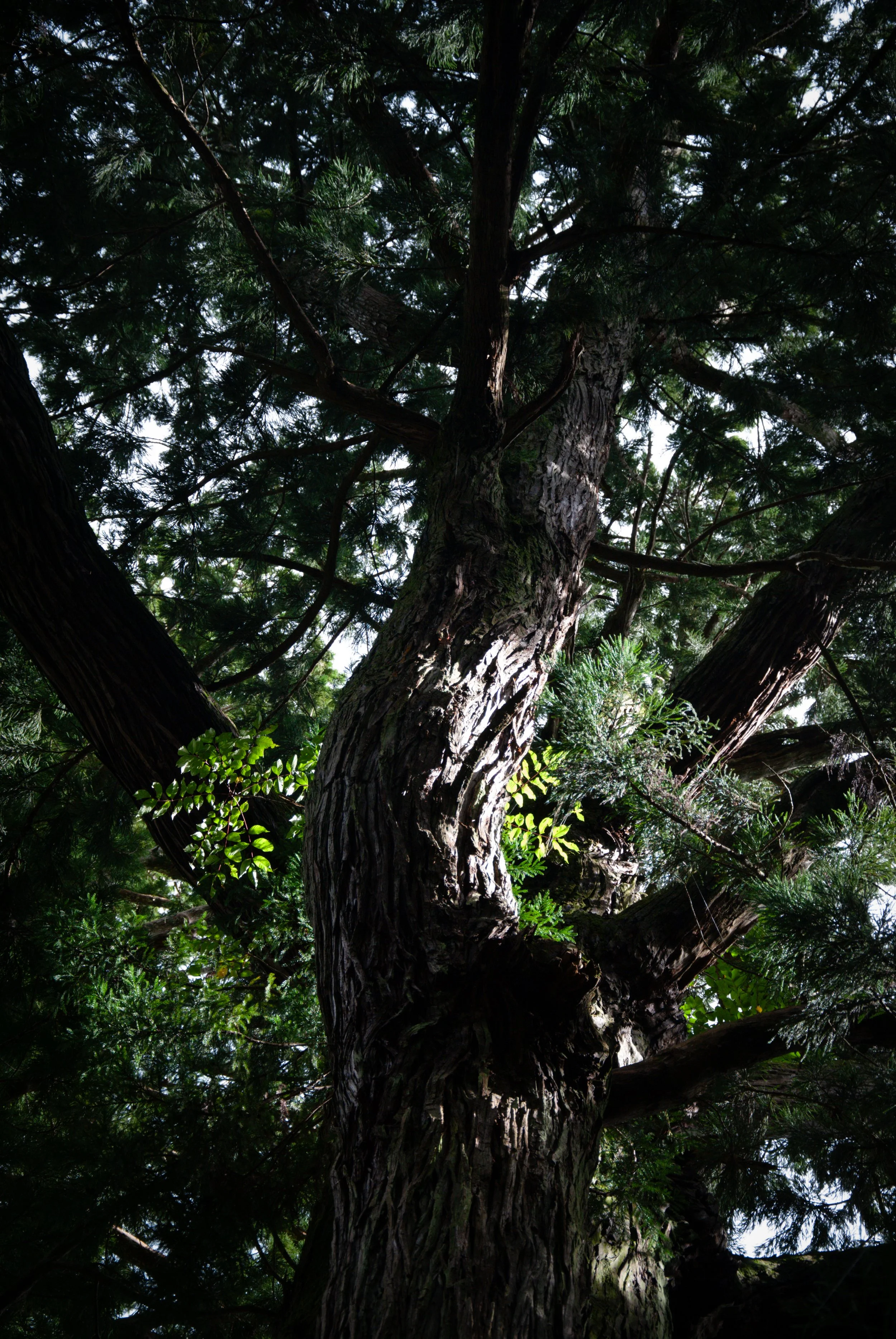 二ツ亀と長国寺 (15).jpg