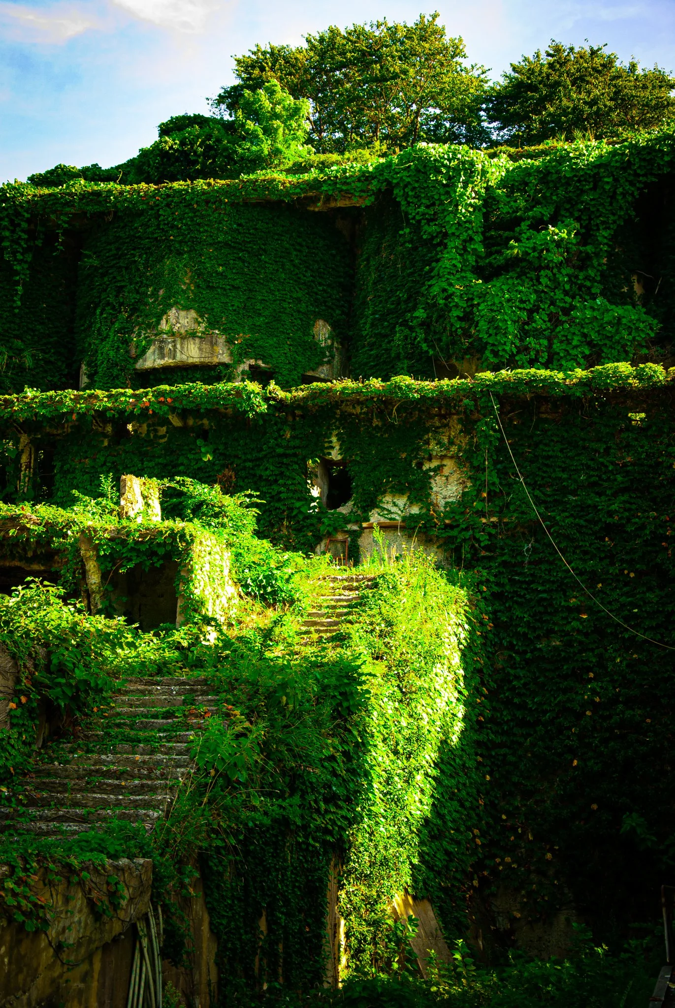 最初の習慣 (54).jpg