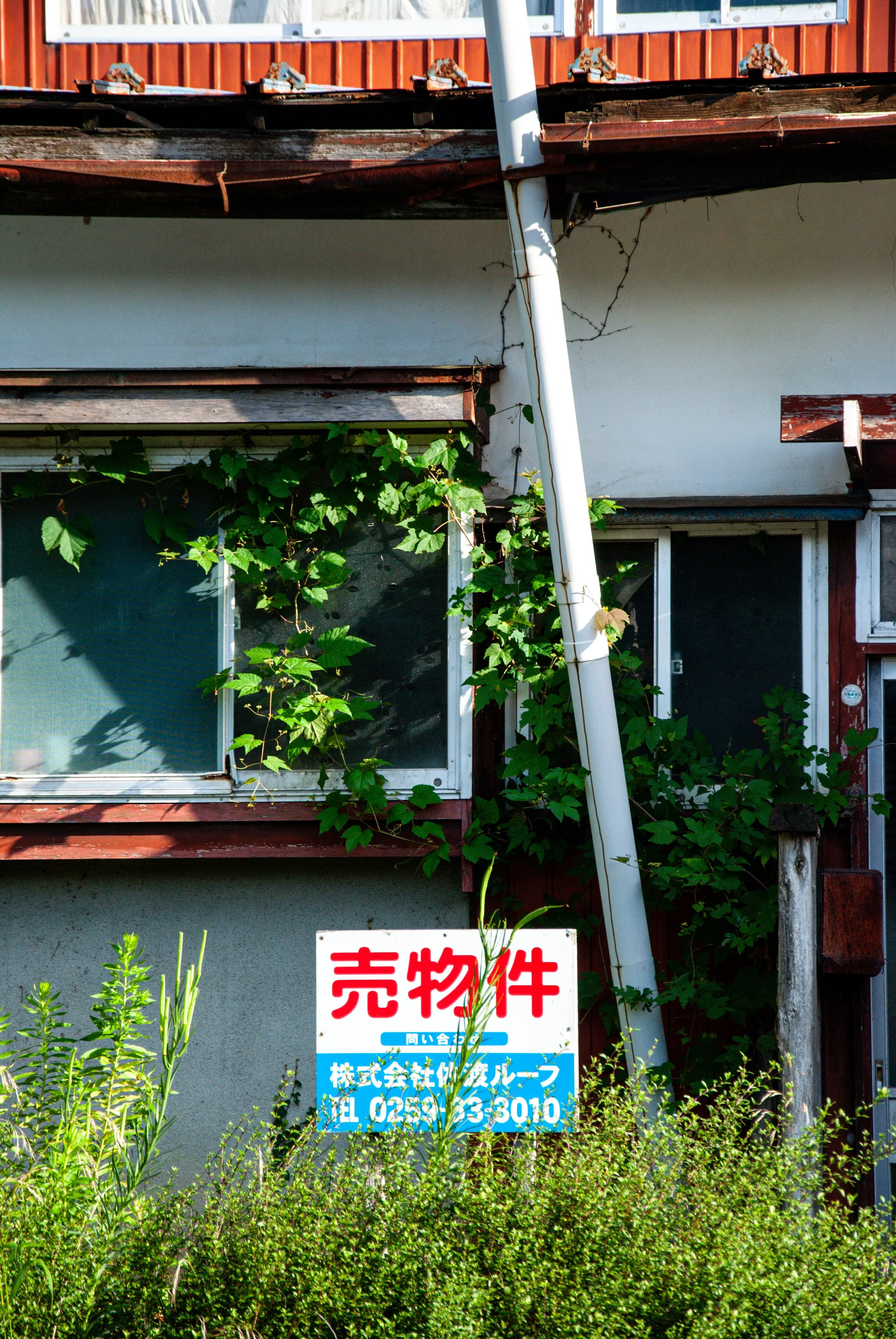 両津と色んな場所 (17).jpg