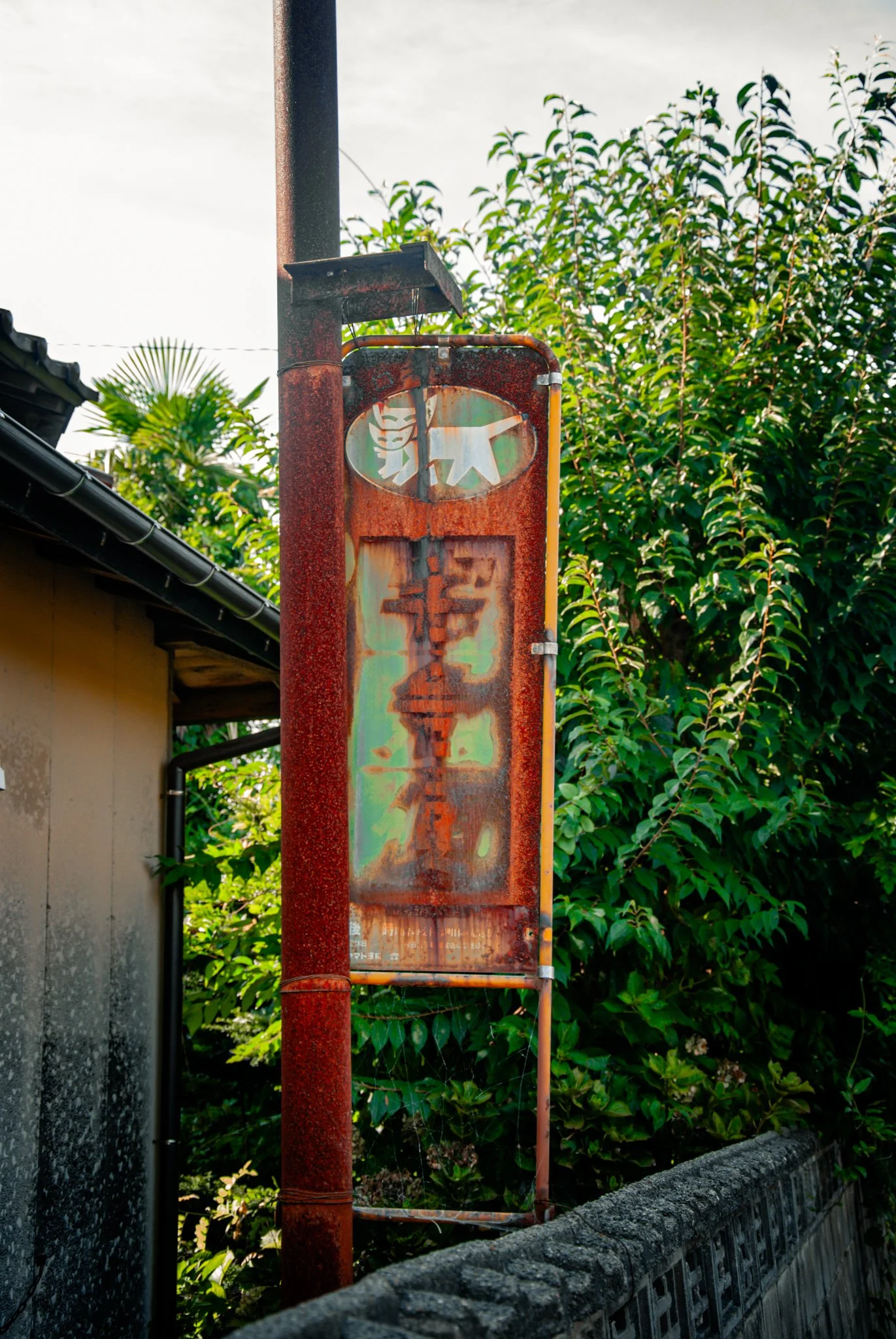 最初の習慣 (2).jpg