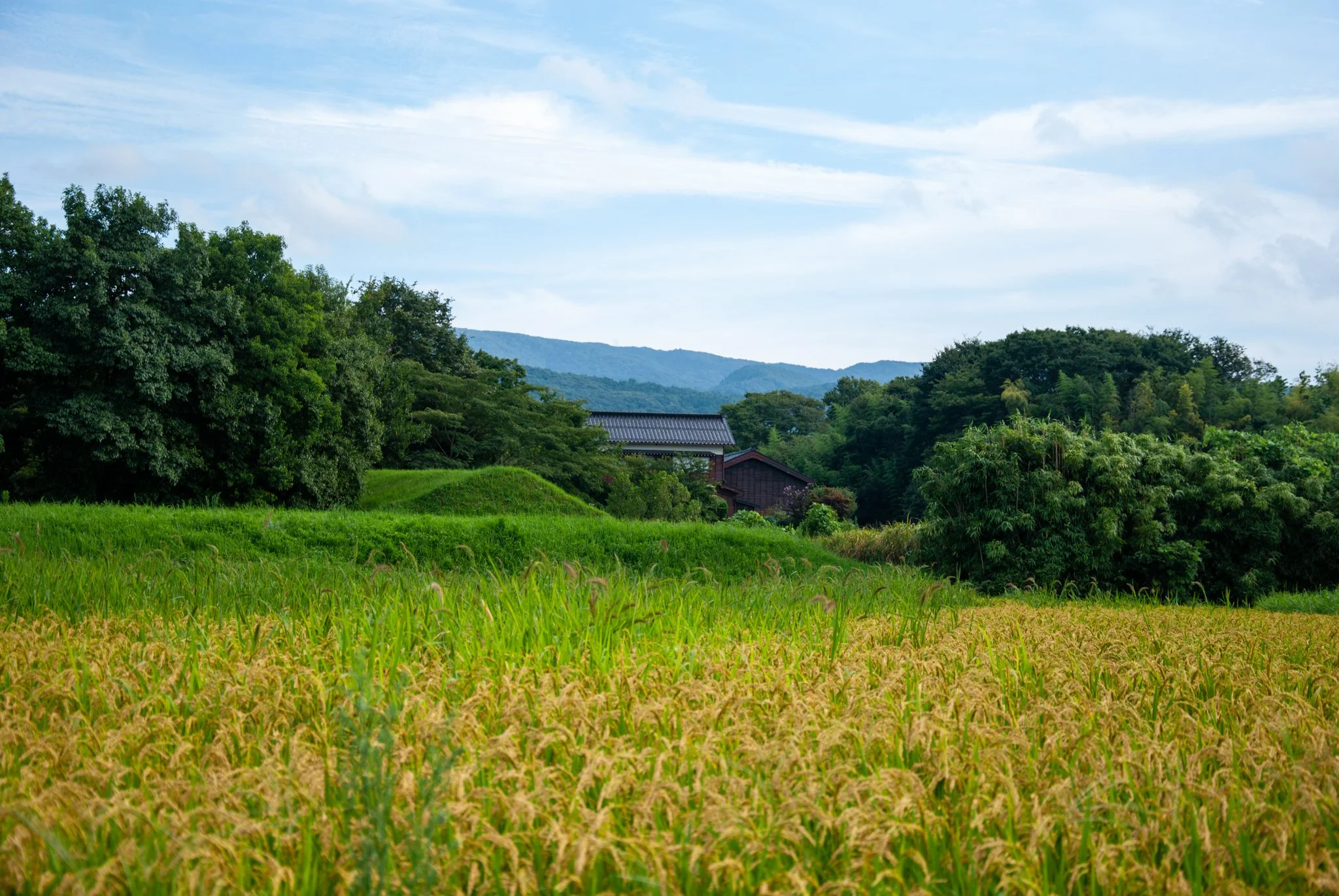 最初の習慣 (60).jpg
