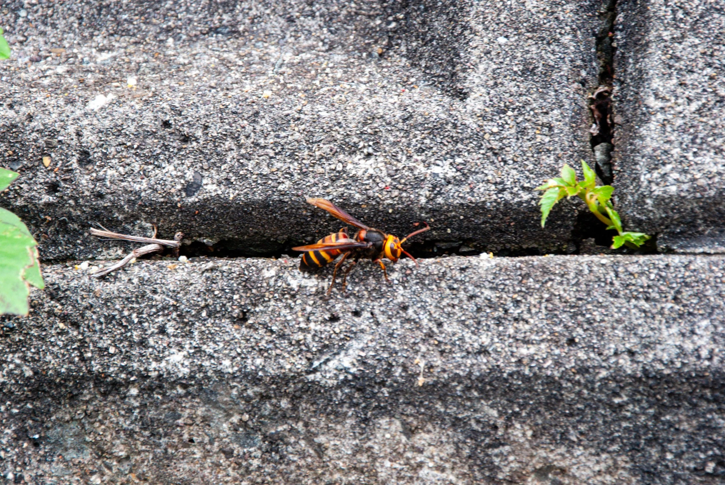 両津と色んな場所 (20).jpg