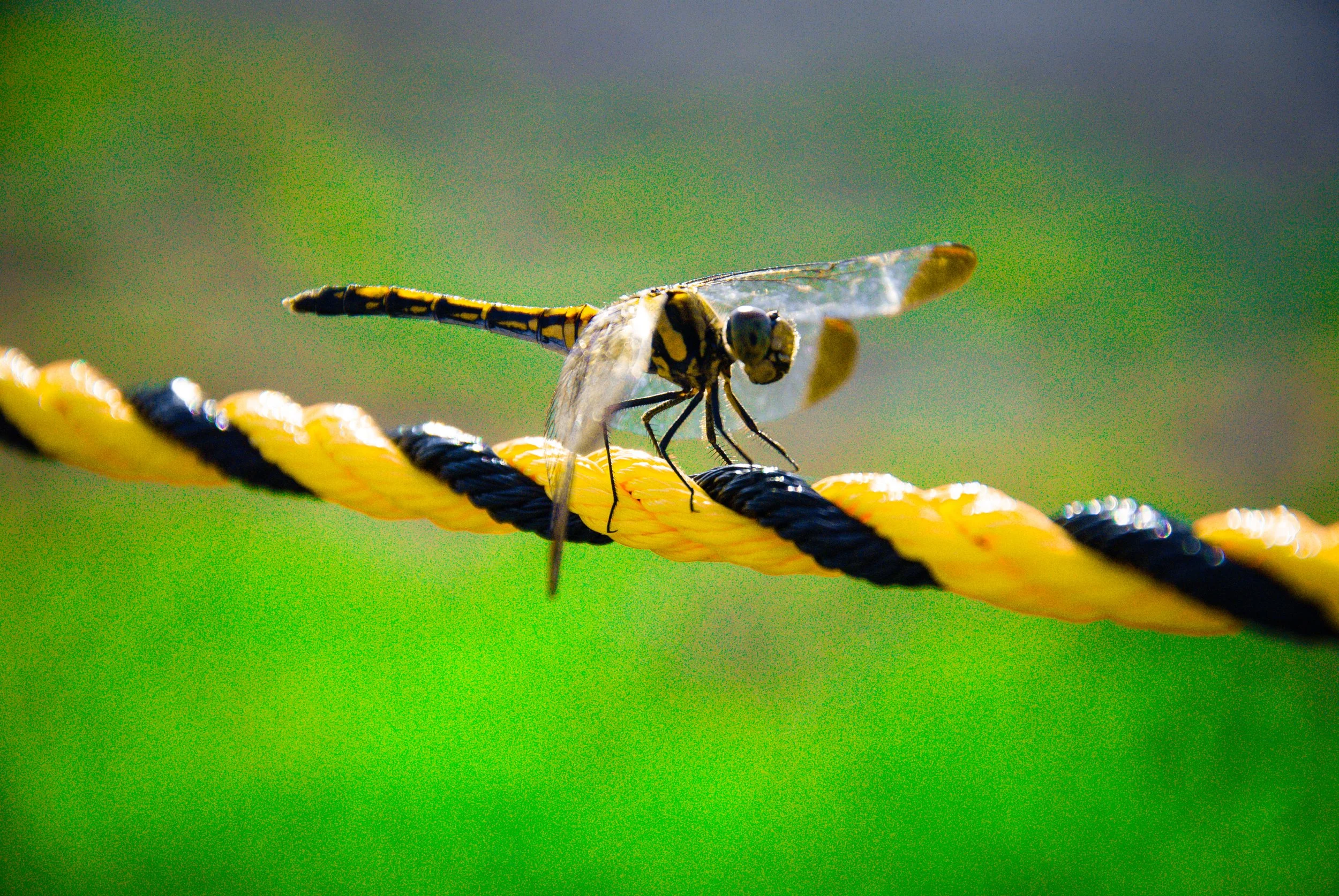 両津と色んな場所 (16).jpg