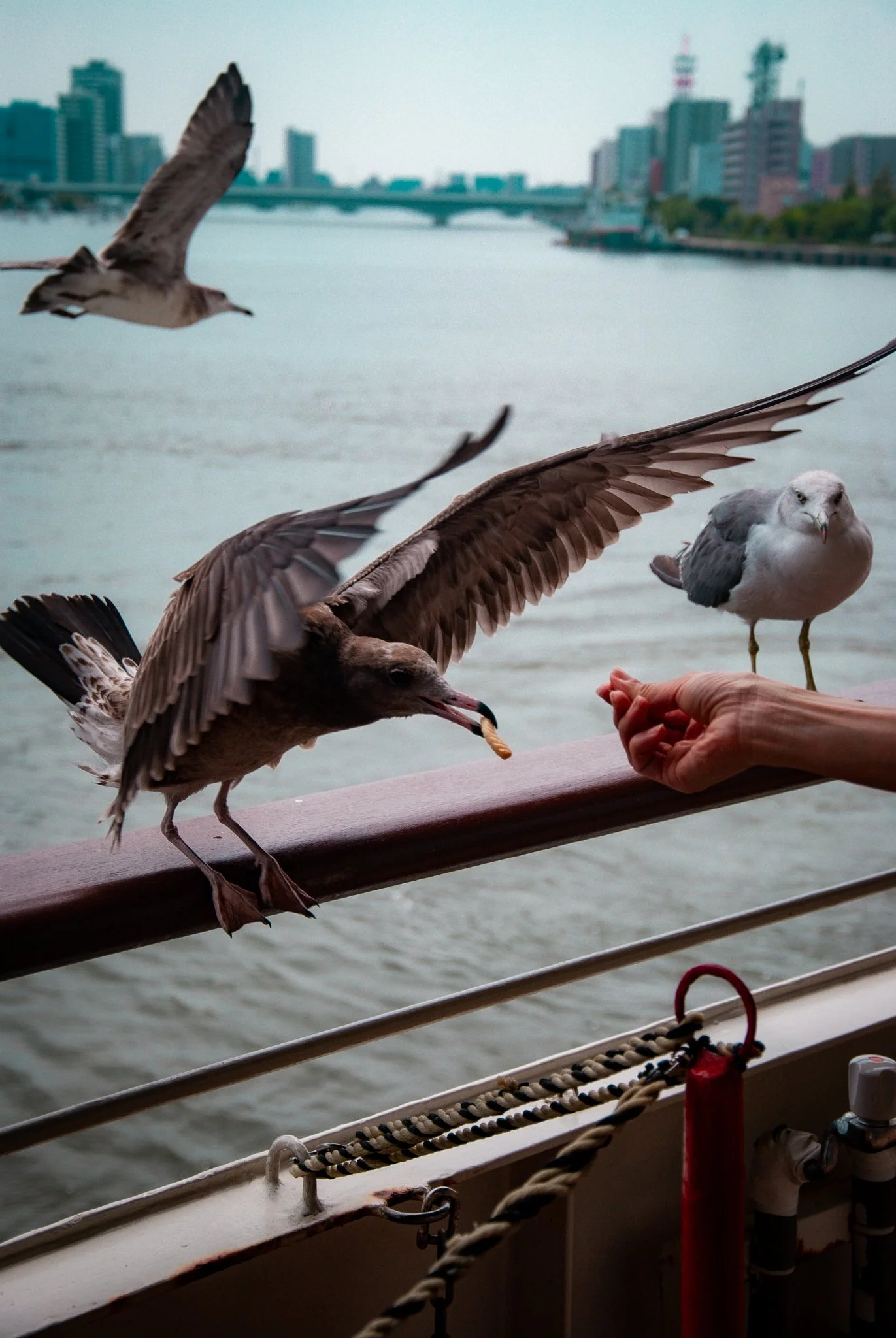 最初の習慣 (9).jpg