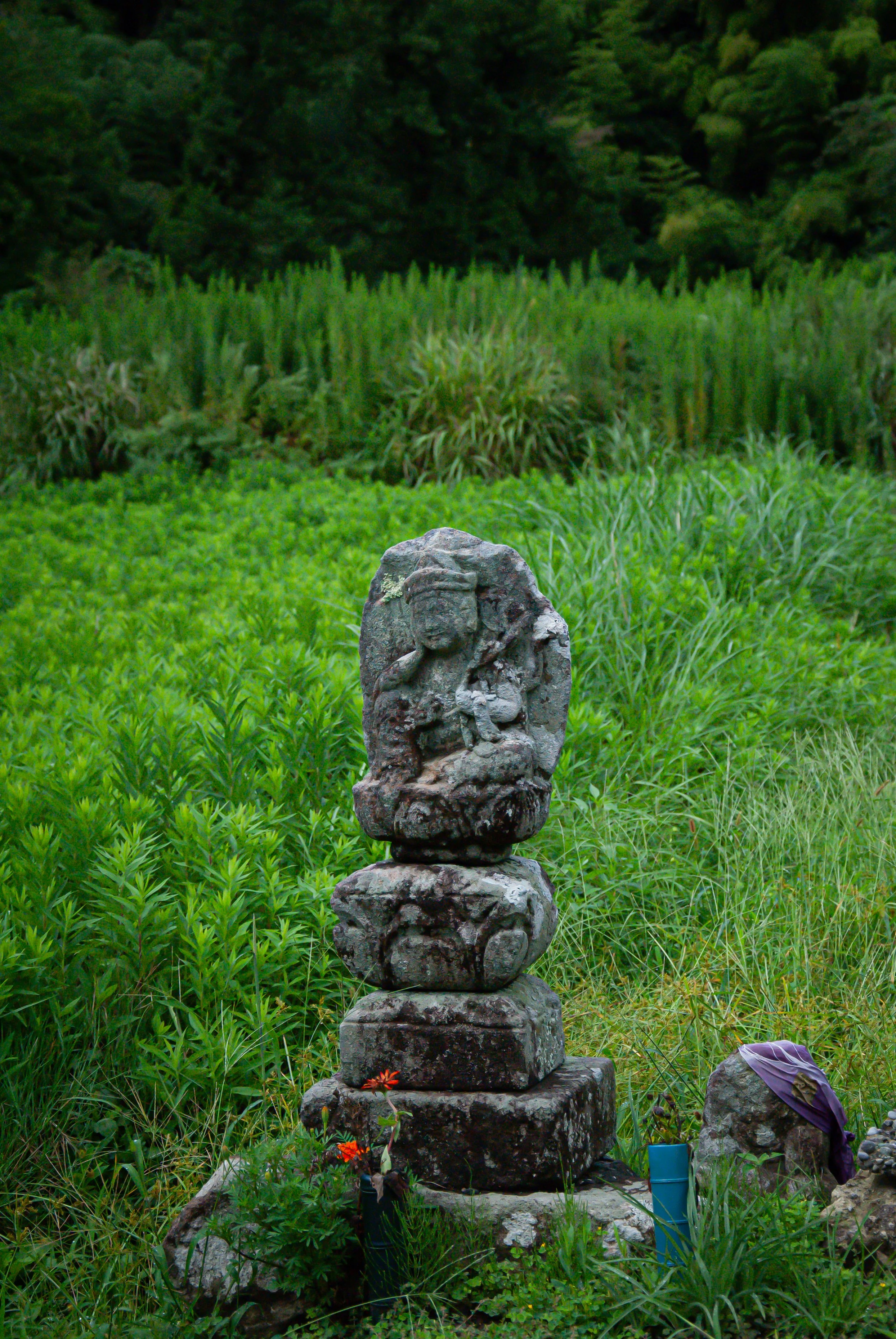 散歩 (9).jpg