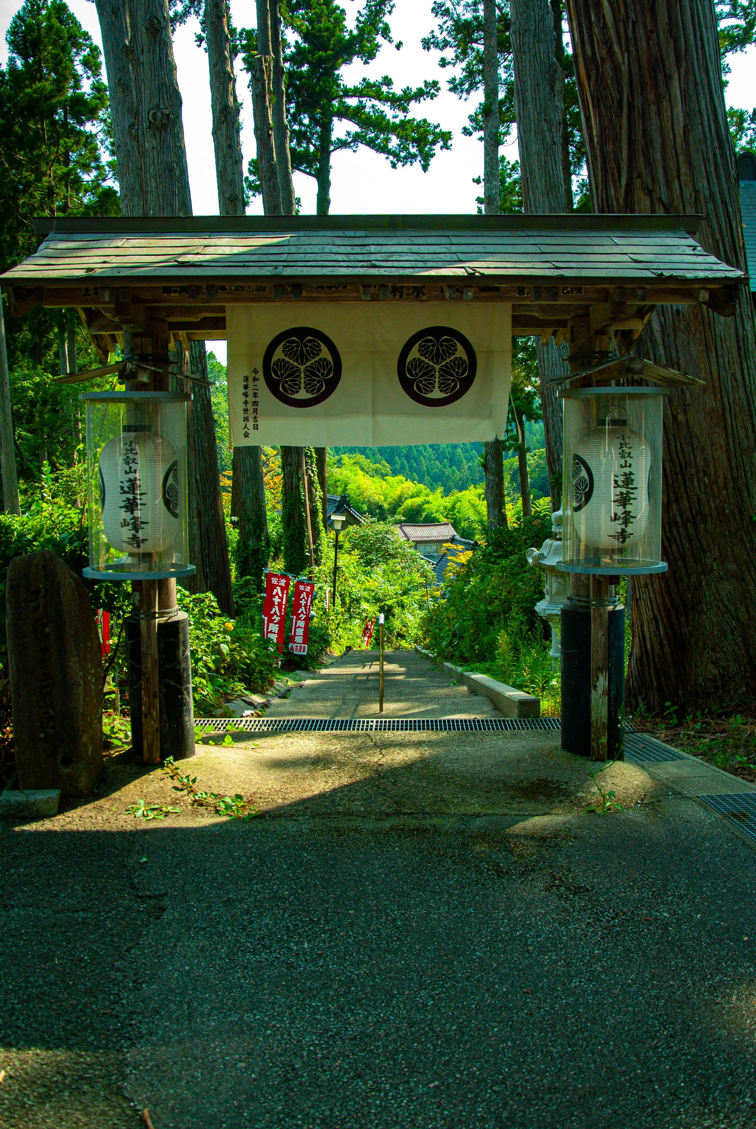 散歩 (40).jpg