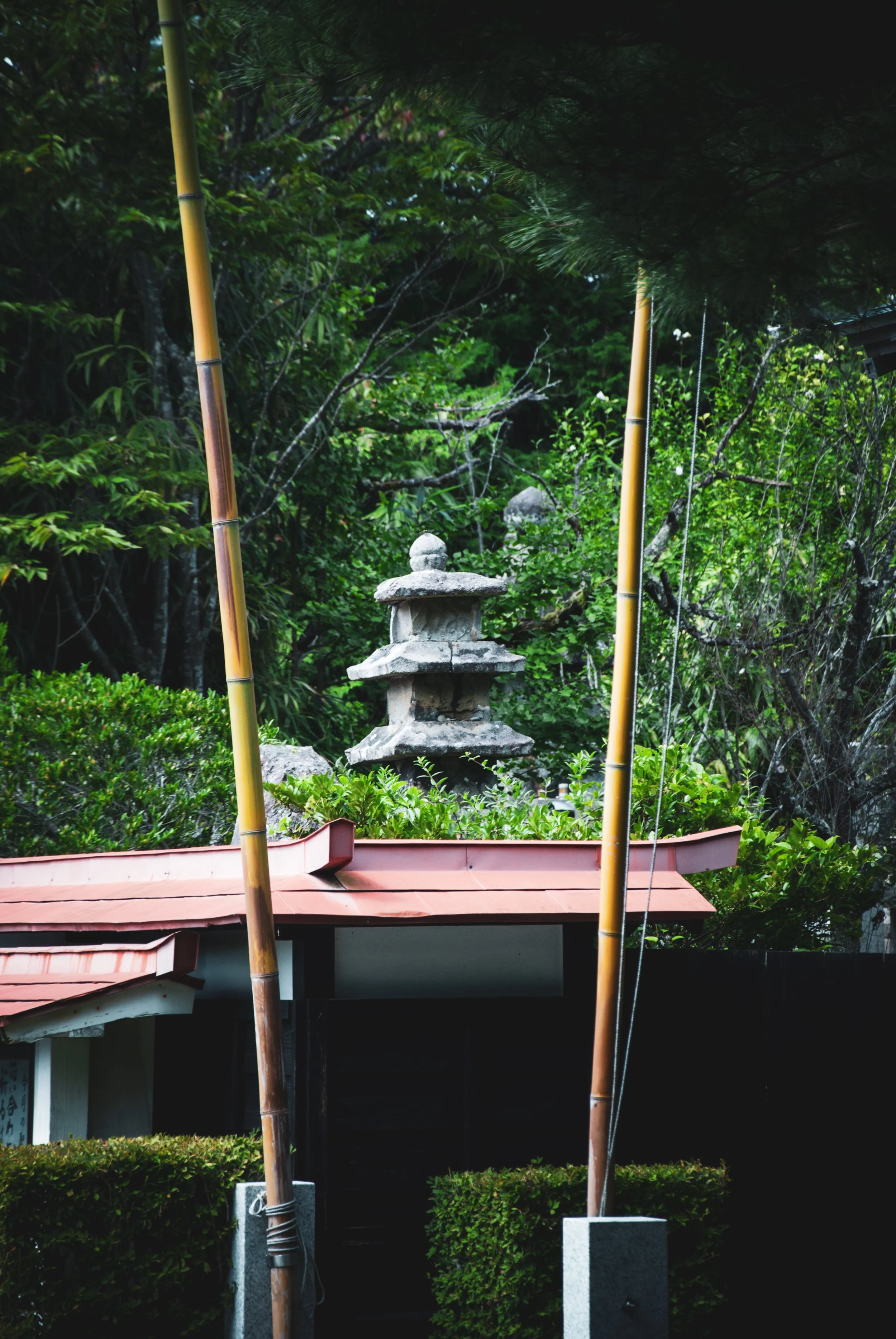 こんぽんじと祭り (1).jpg