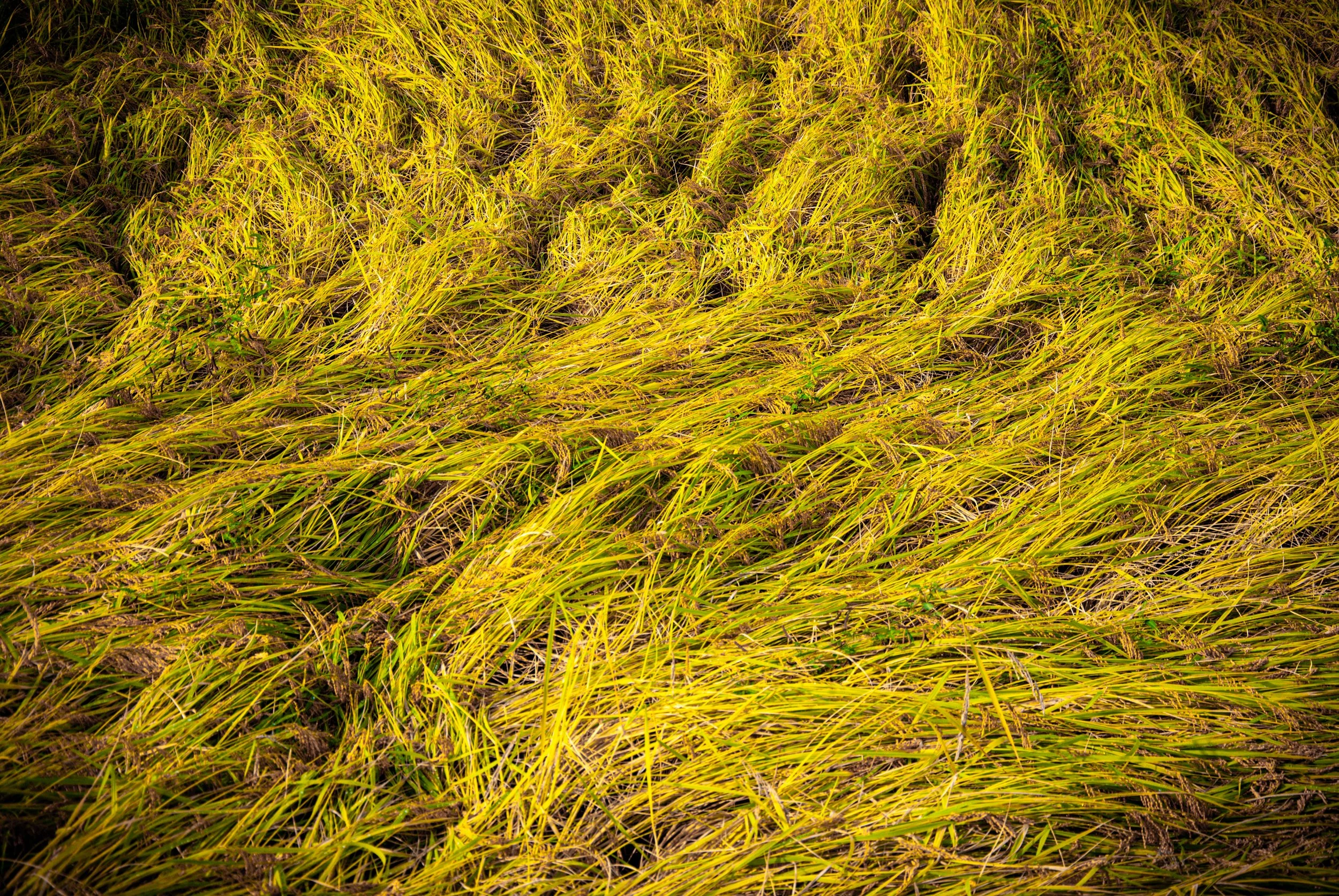 両津と色んな場所 (8).jpg