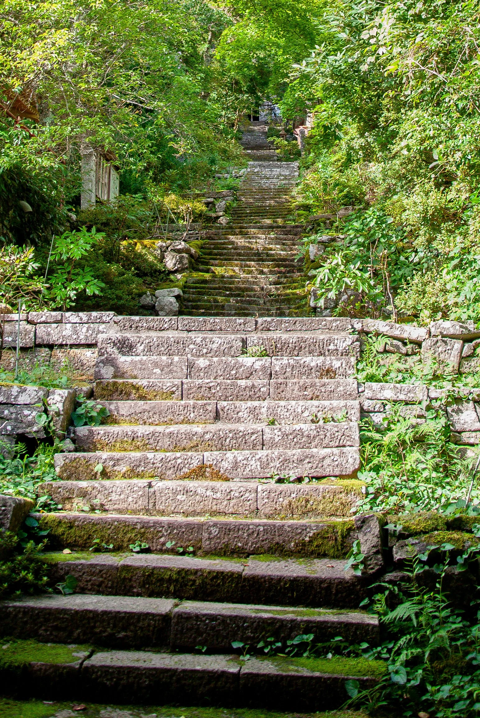 二ツ亀と長国寺 (13).jpg