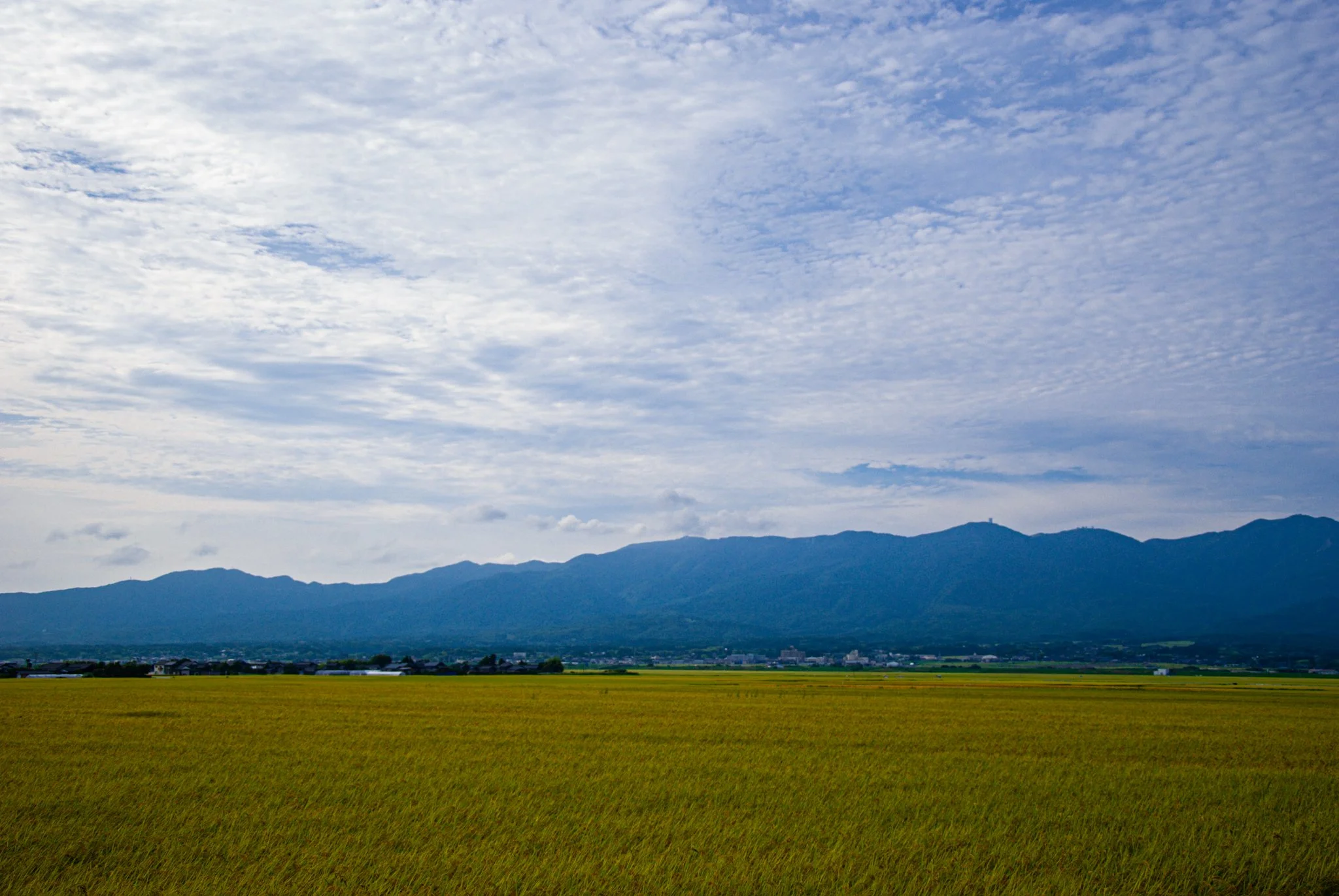 最初の習慣 (13).jpg