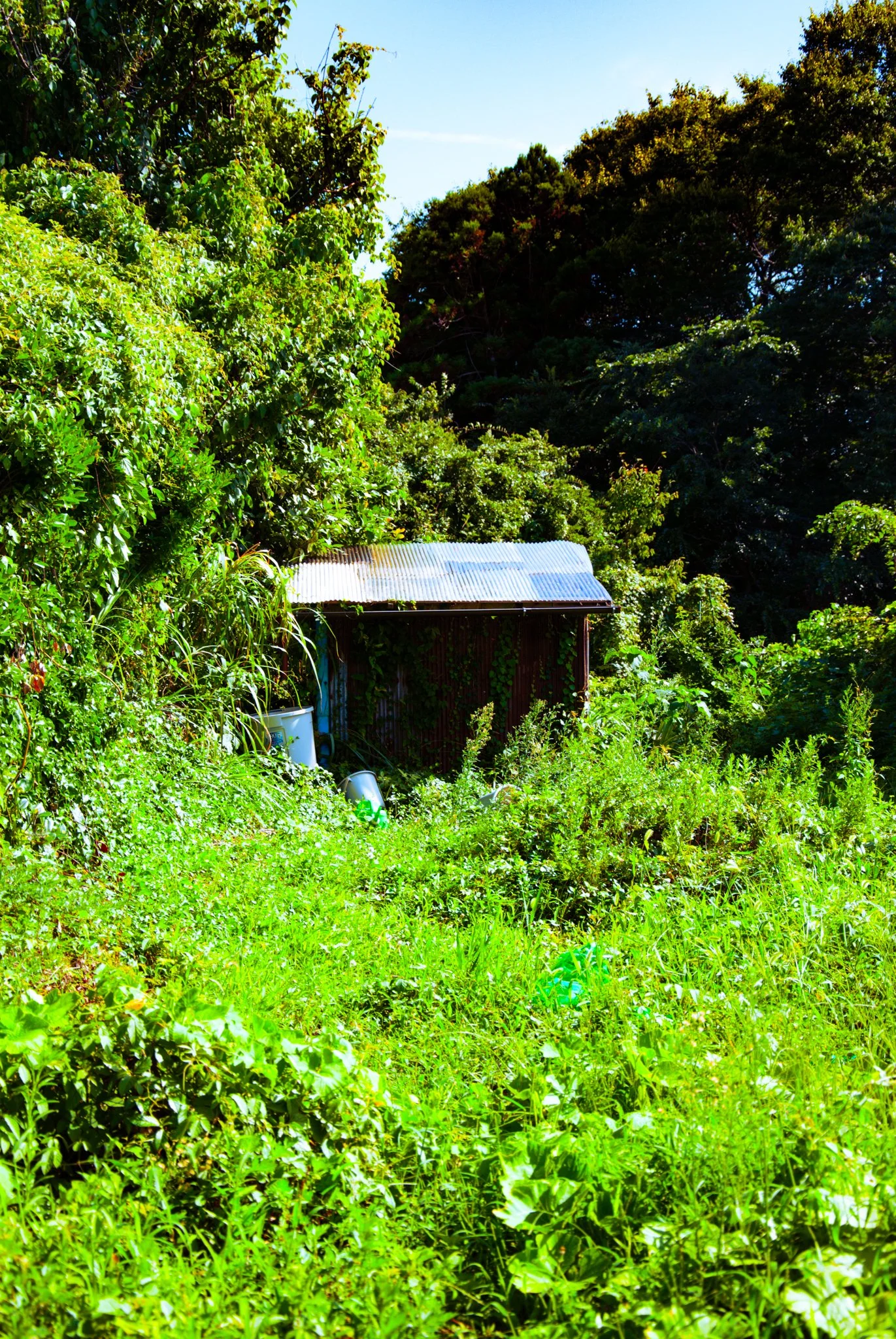 最初の習慣 (48).jpg