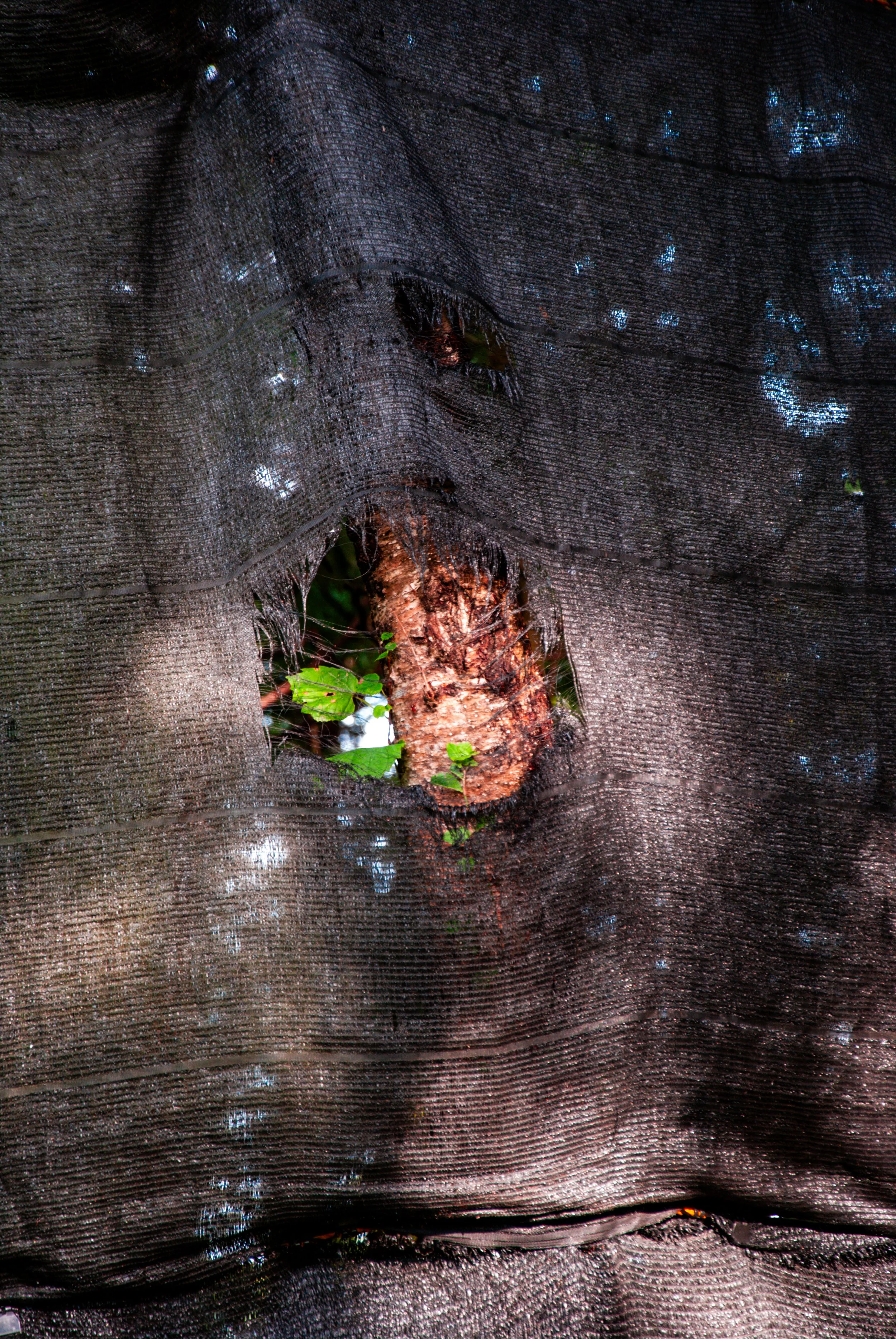 両津と色んな場所 (10).jpg