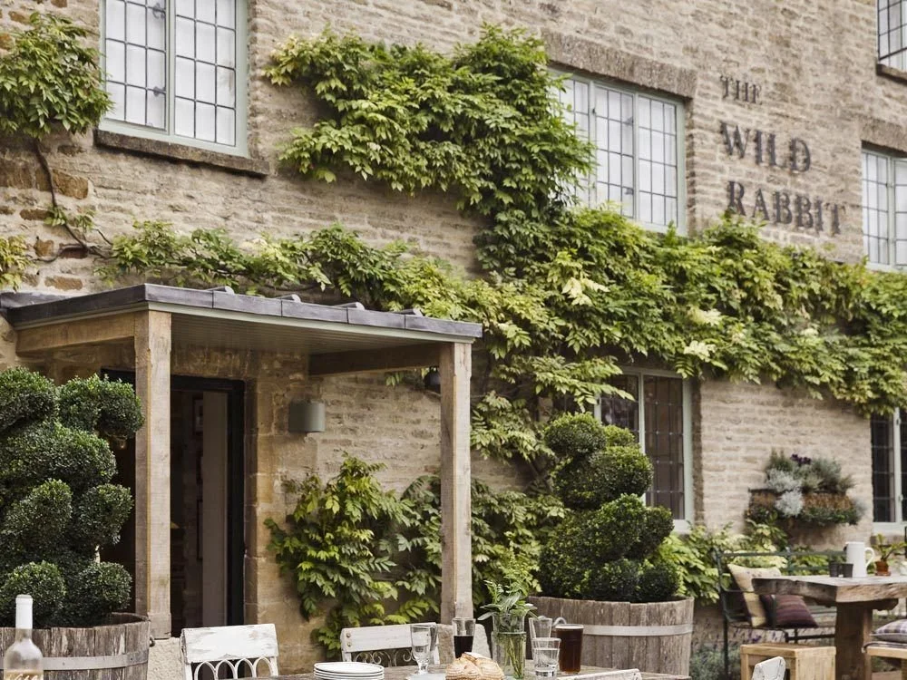 original-the-wild-rabbit-exterior-jpg-4cacc184.jpeg