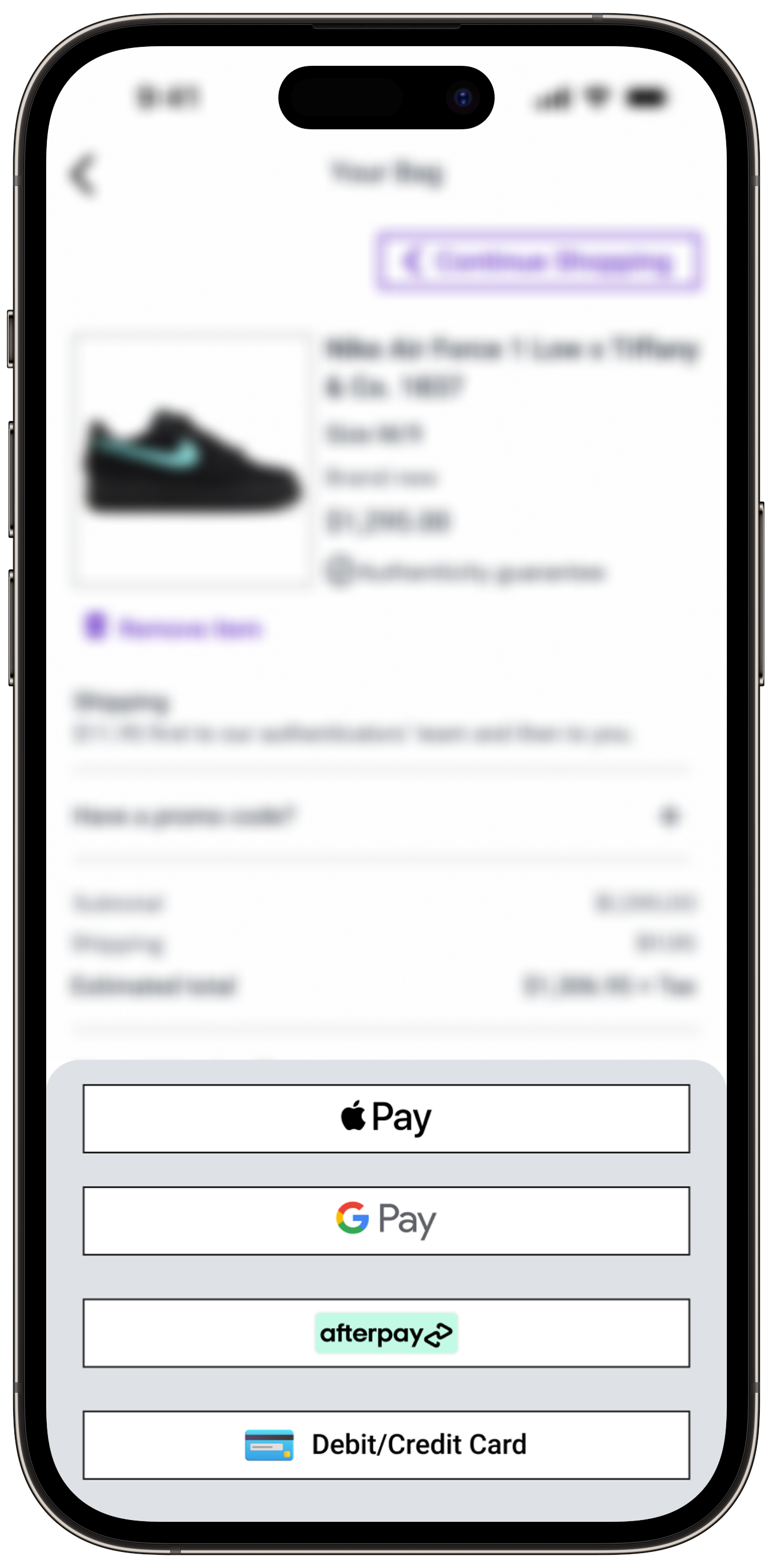 PAYMENT OPTIONS NEW-portrait.png
