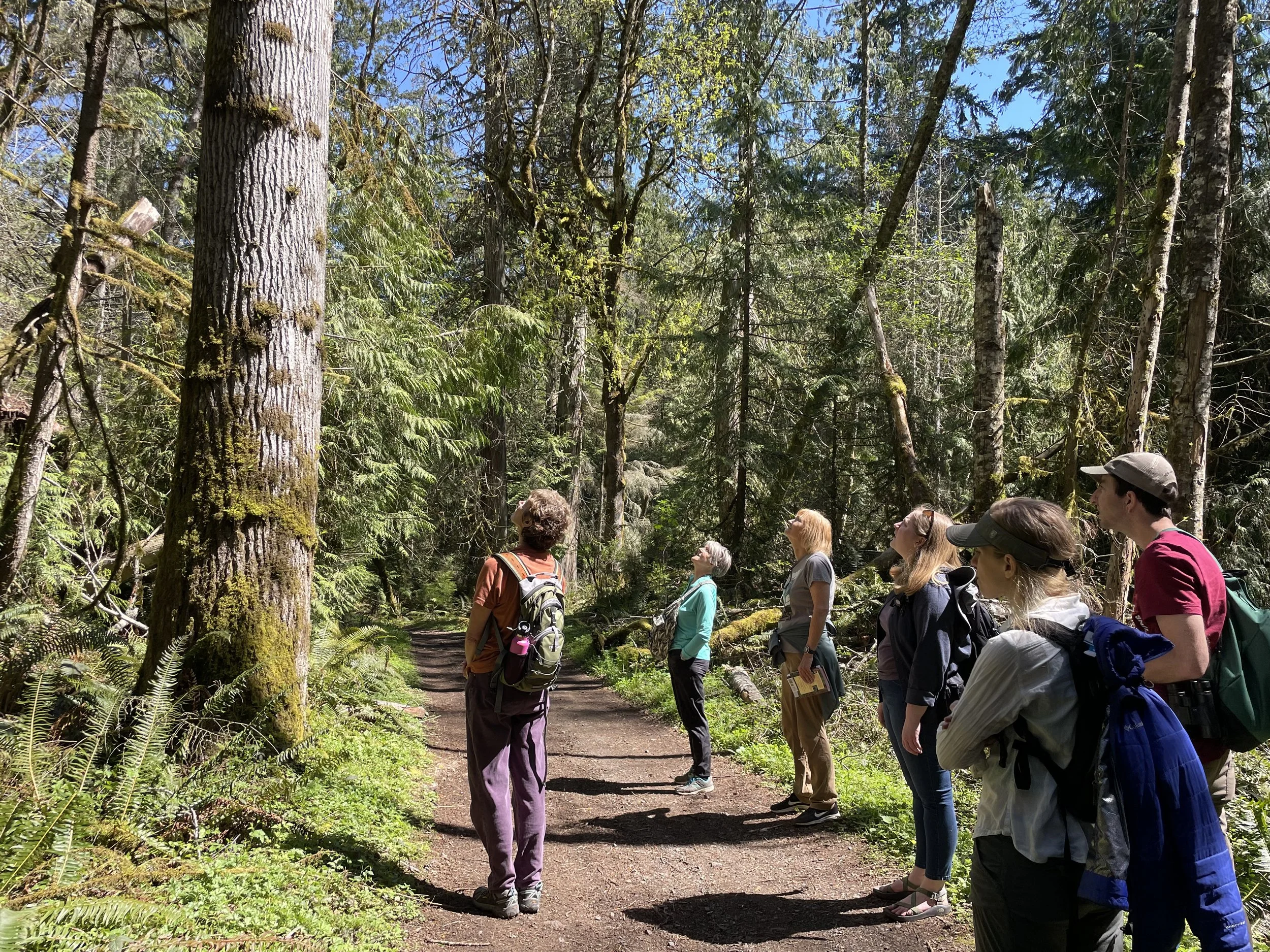 ACFL Naturalist Club