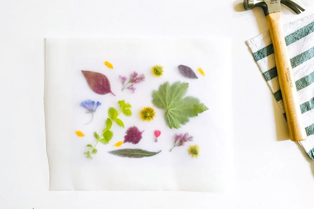Art in Nature