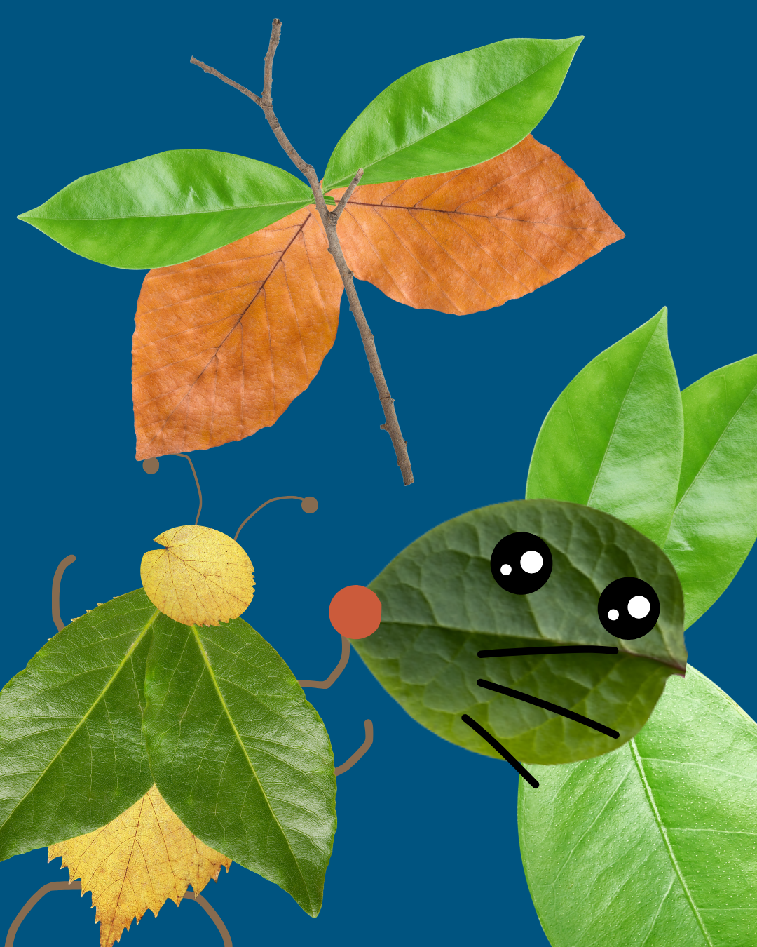 Make Leaf Art with us during Anacortes Arts Fest!