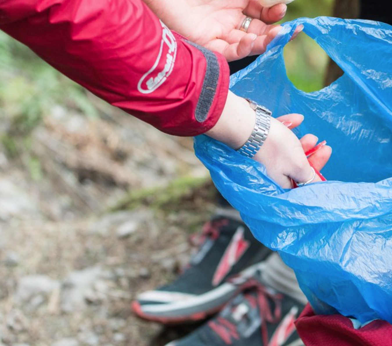 Friend to the Forest: Sustainable Recreation