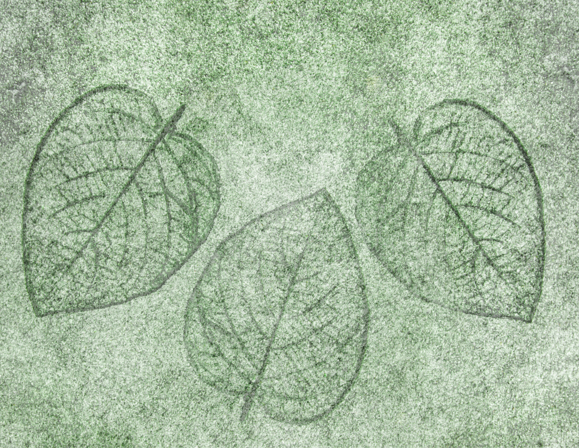 Art in Nature: Leaf Printmaking