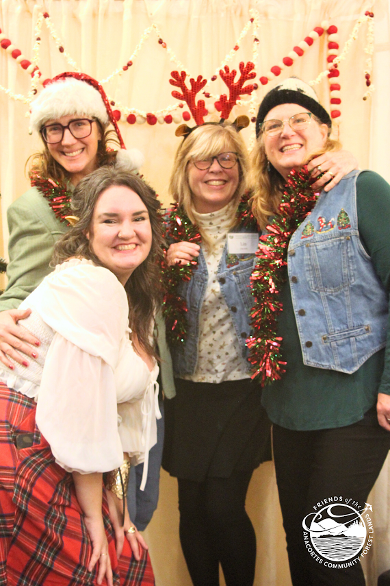 Elves Night Out