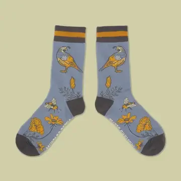 Quail.webp