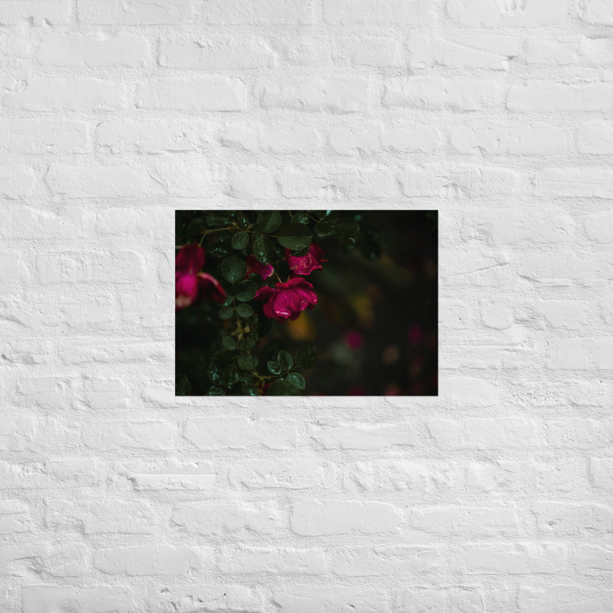 enhanced-matte-paper-poster-(cm)-a2-(42x59.4-cm)-front-681ba3a876824.jpg