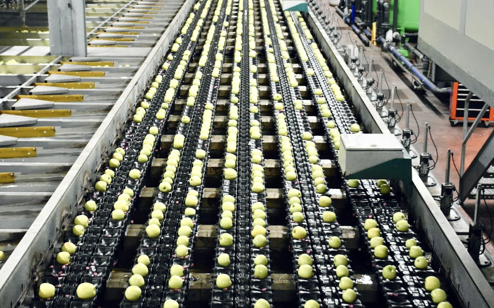 Lot Tracking and Recalls in Business Central for Food &amp; Beverage
