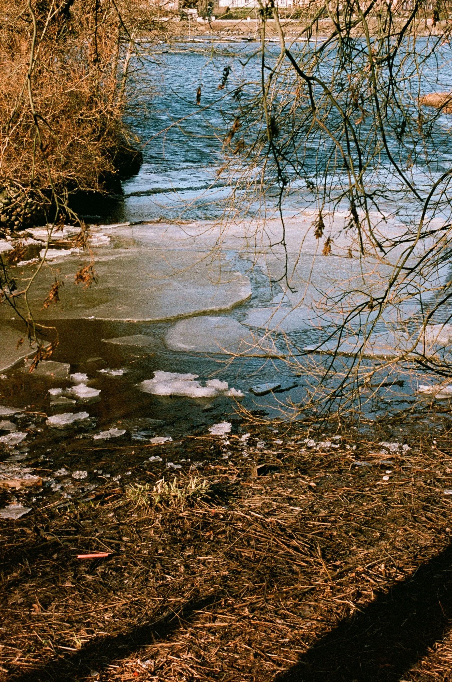 A river with frozen sections and ice floating on the surface, surrounded by leafless trees and bank vegetation.