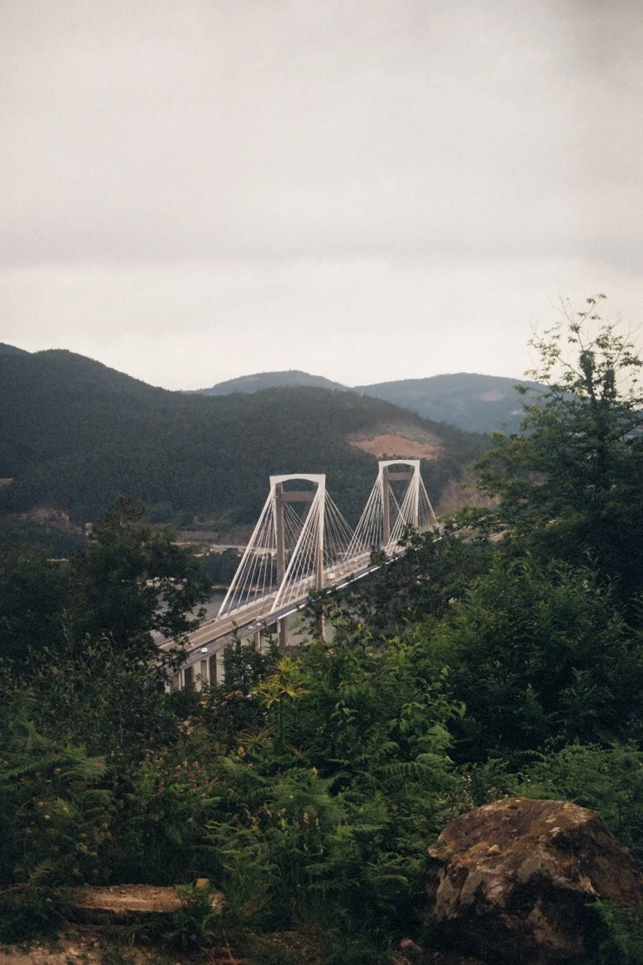 A bridge with tall, white, cable-stayed towers extending over a lush, green landscape with mountains in the background.