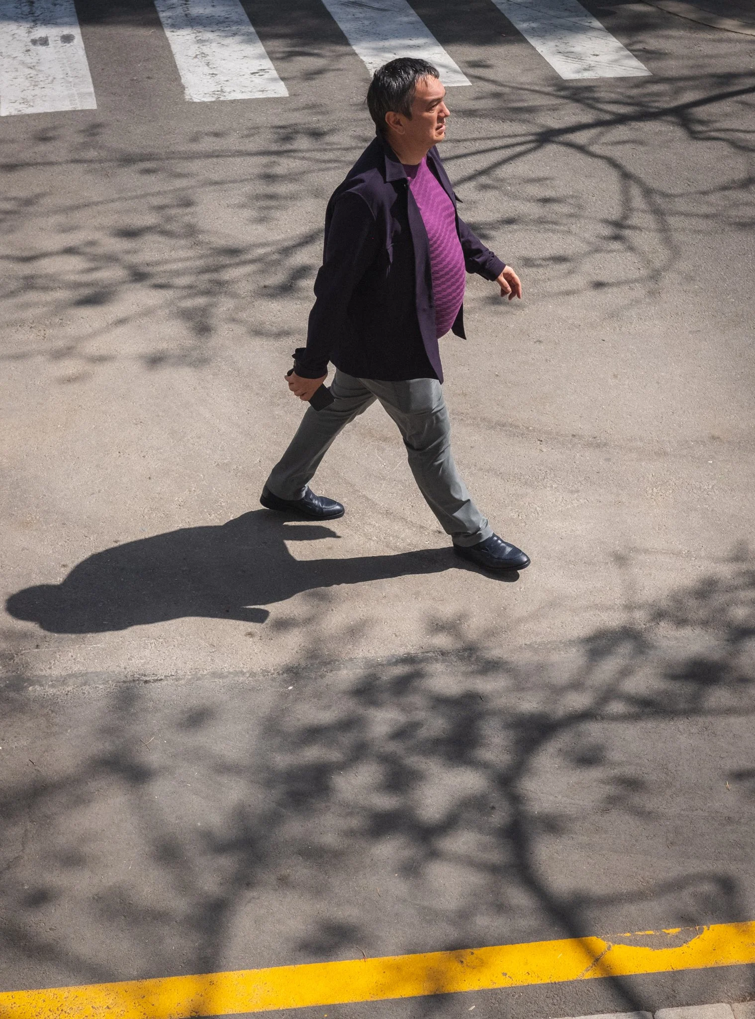 Man walking on a street crossing, casting a shadow, with tree branches visible overhead.