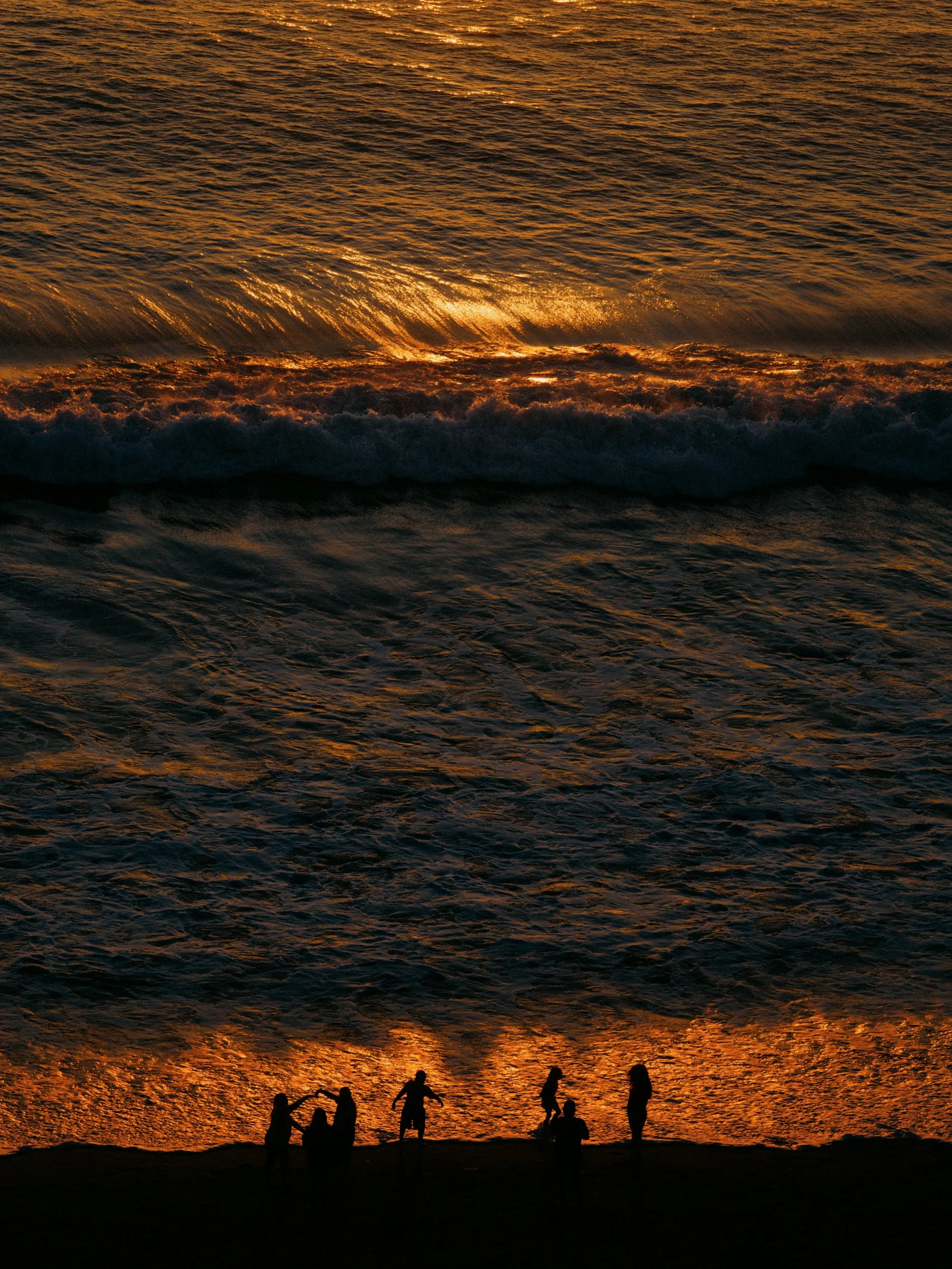 Nick Shamblott (@nick_shamblott) • Instagram profile