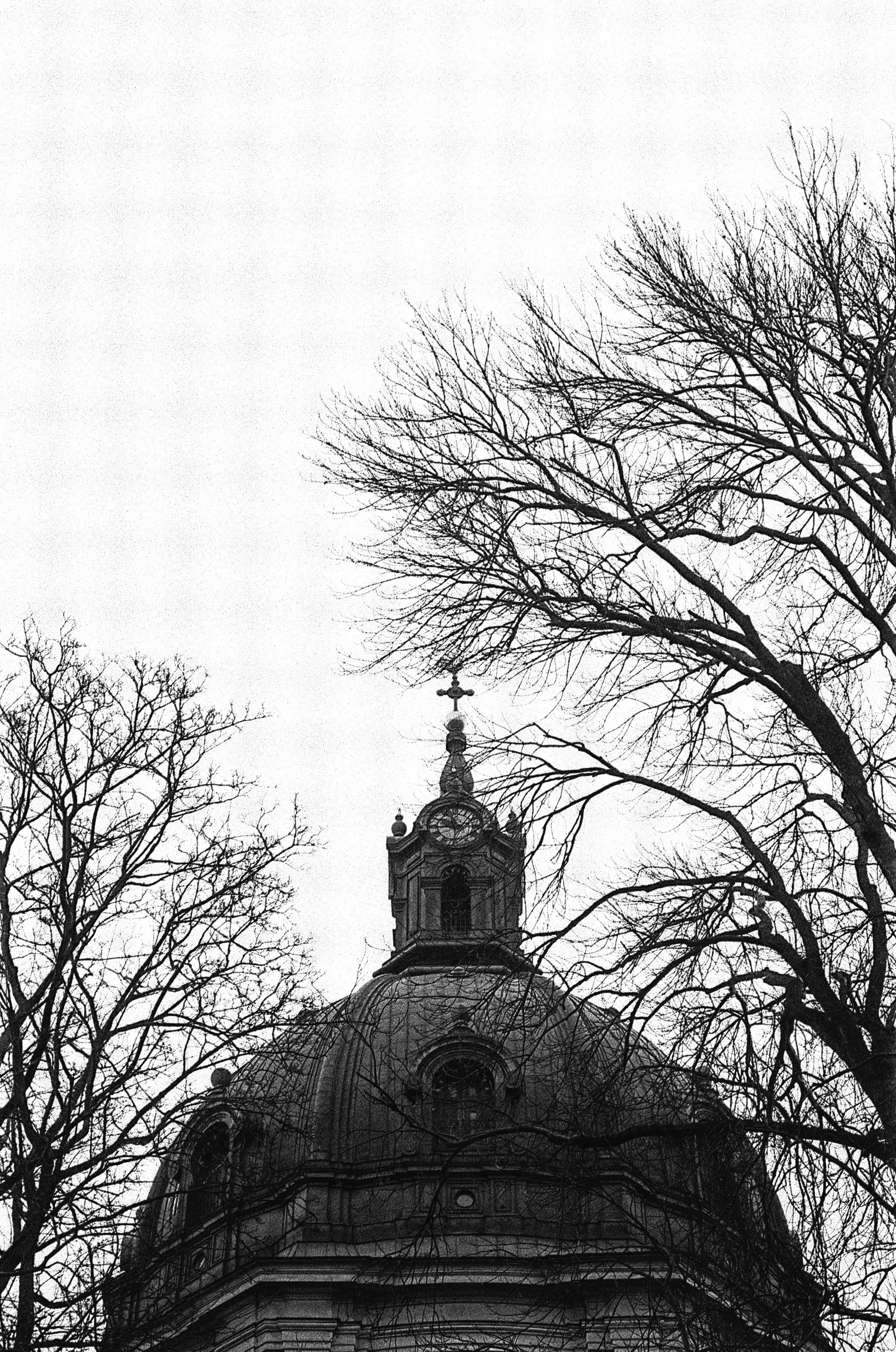 Black and white photo of a historic church dome with a cross on top, surrounded by leafless trees against a gray sky.