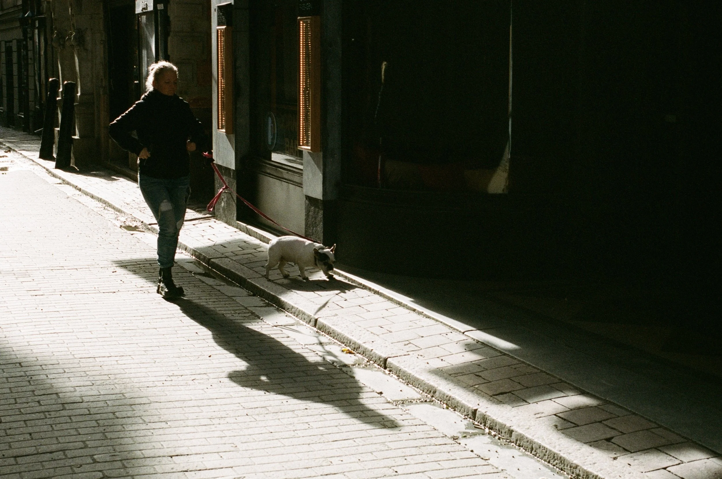 A woman walking a small dog on a leash along a city sidewalk in bright sunlight, with shadows cast on the pavement.