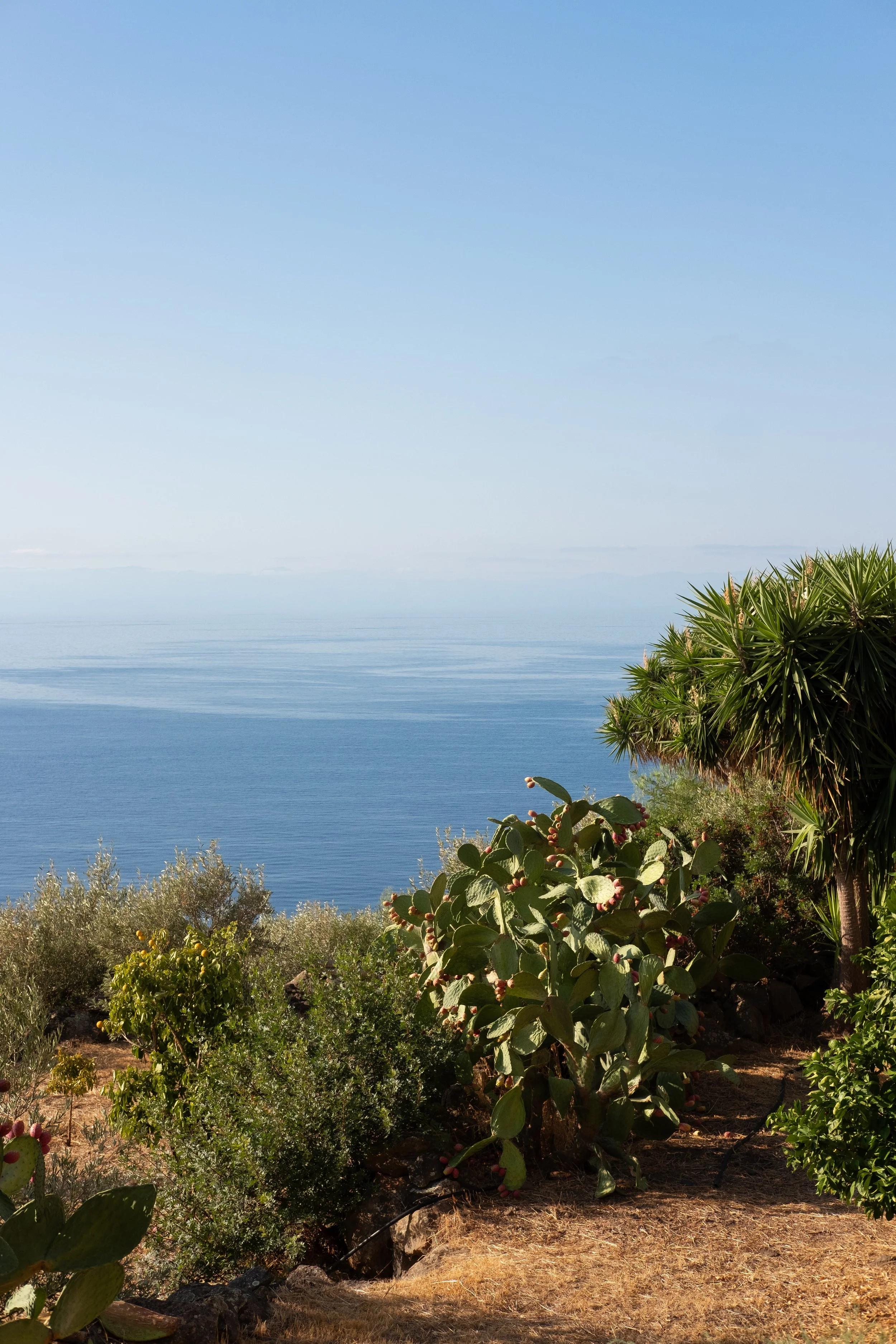 DSCF1518.jpg